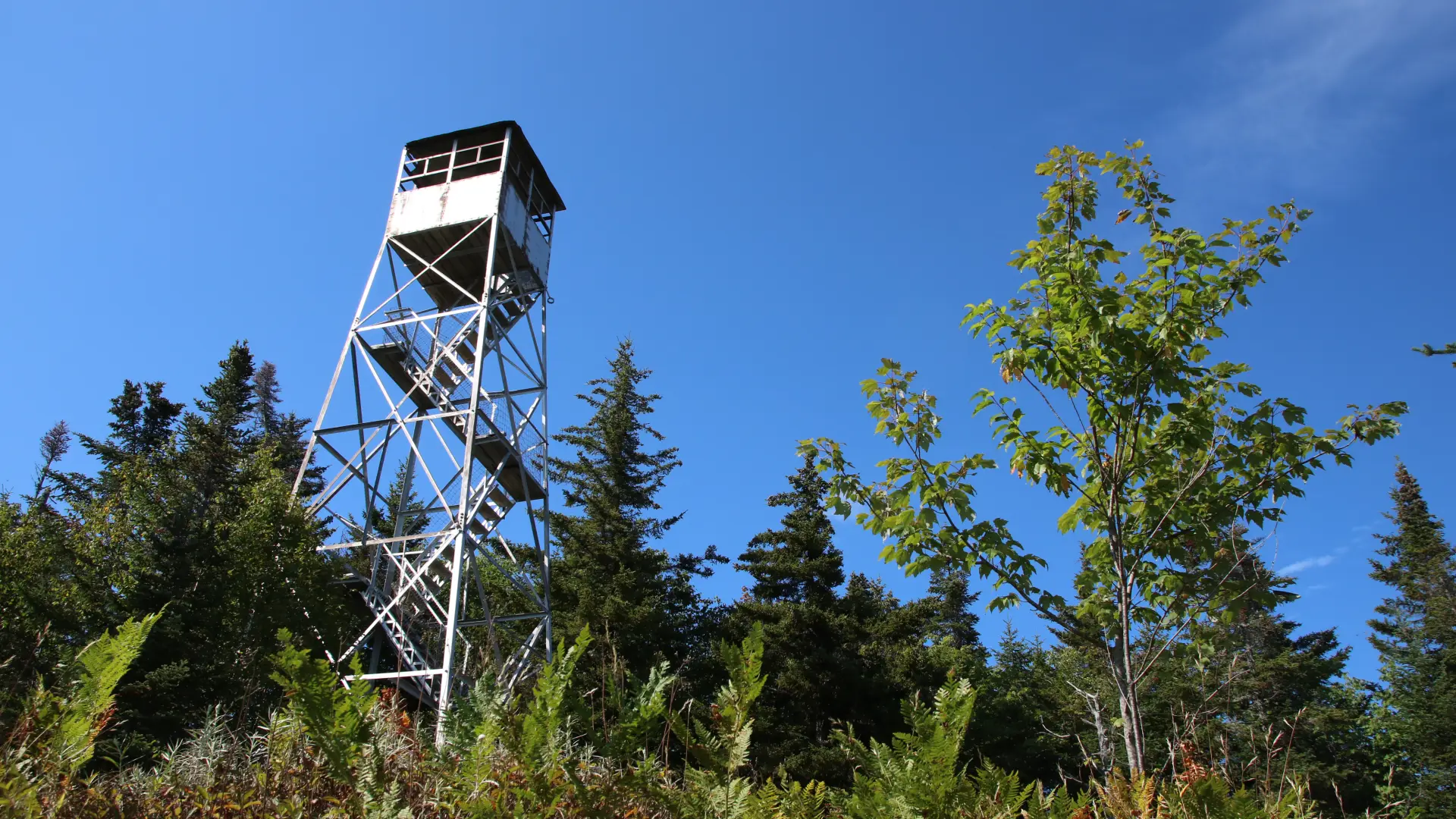 The fire tower adds more scenic possibilities.