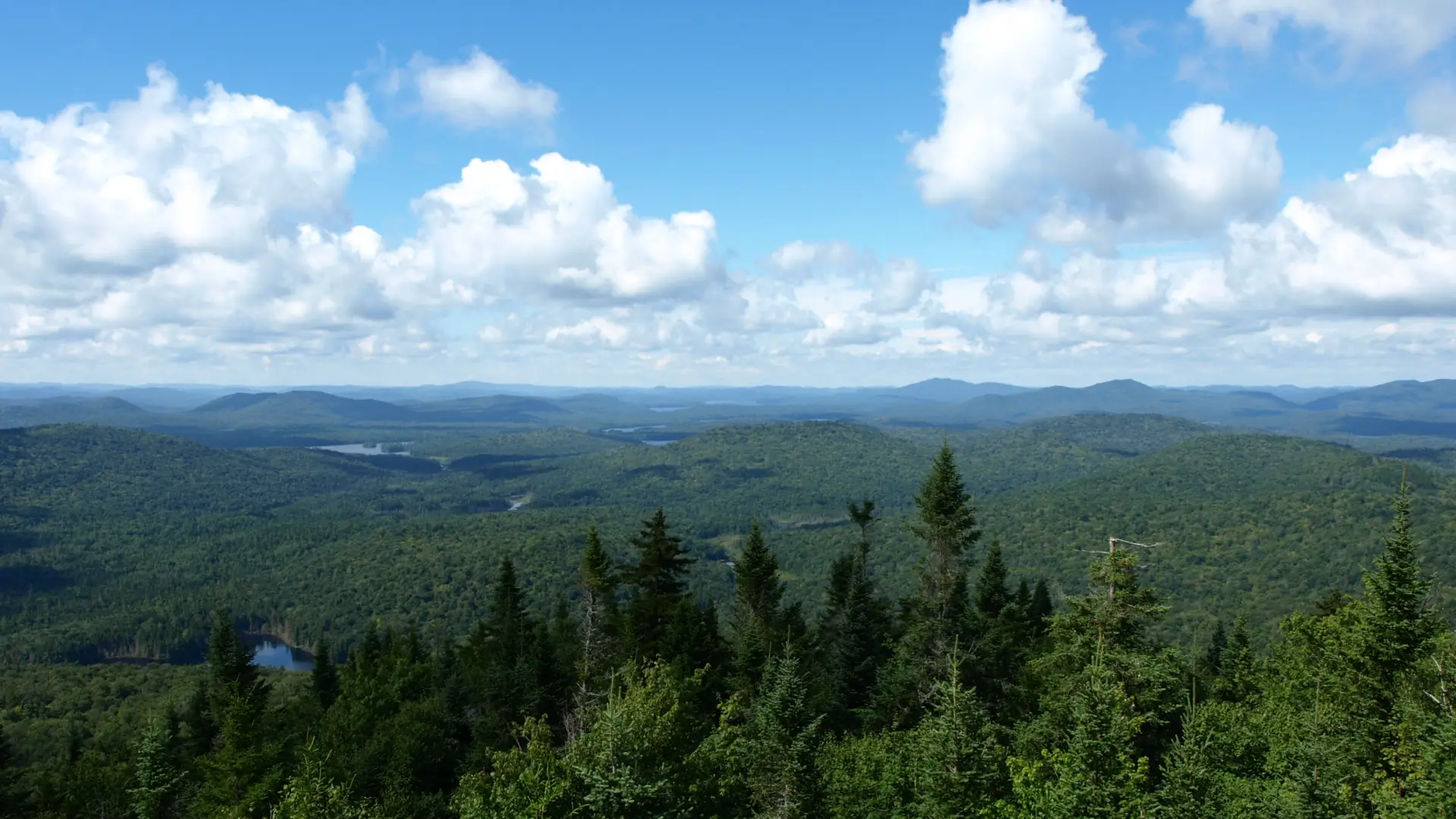 The view from the summit is beautiful.