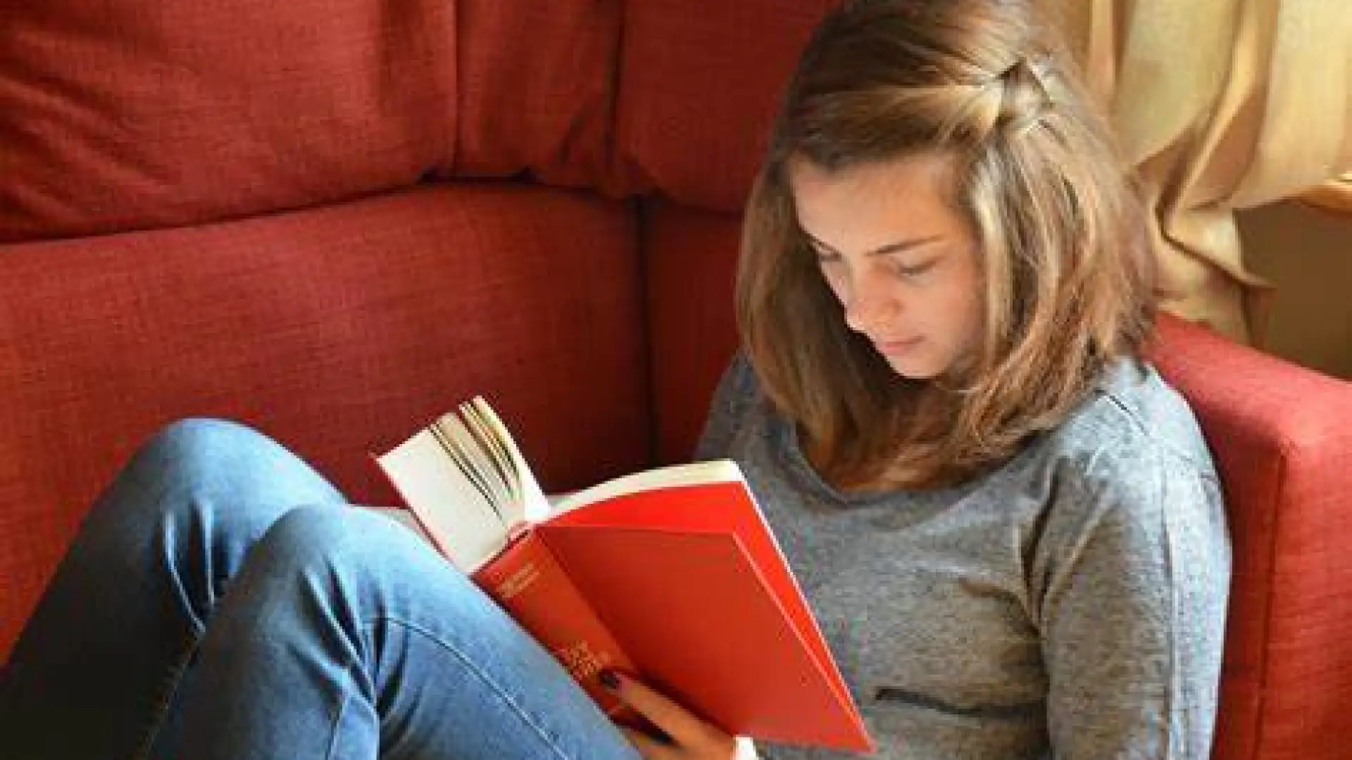 A young woman sitting on a couch reading a book
