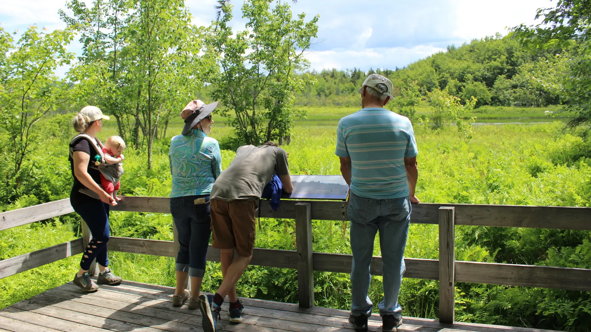 A group of people at a deck with interpretive signage on a trail
