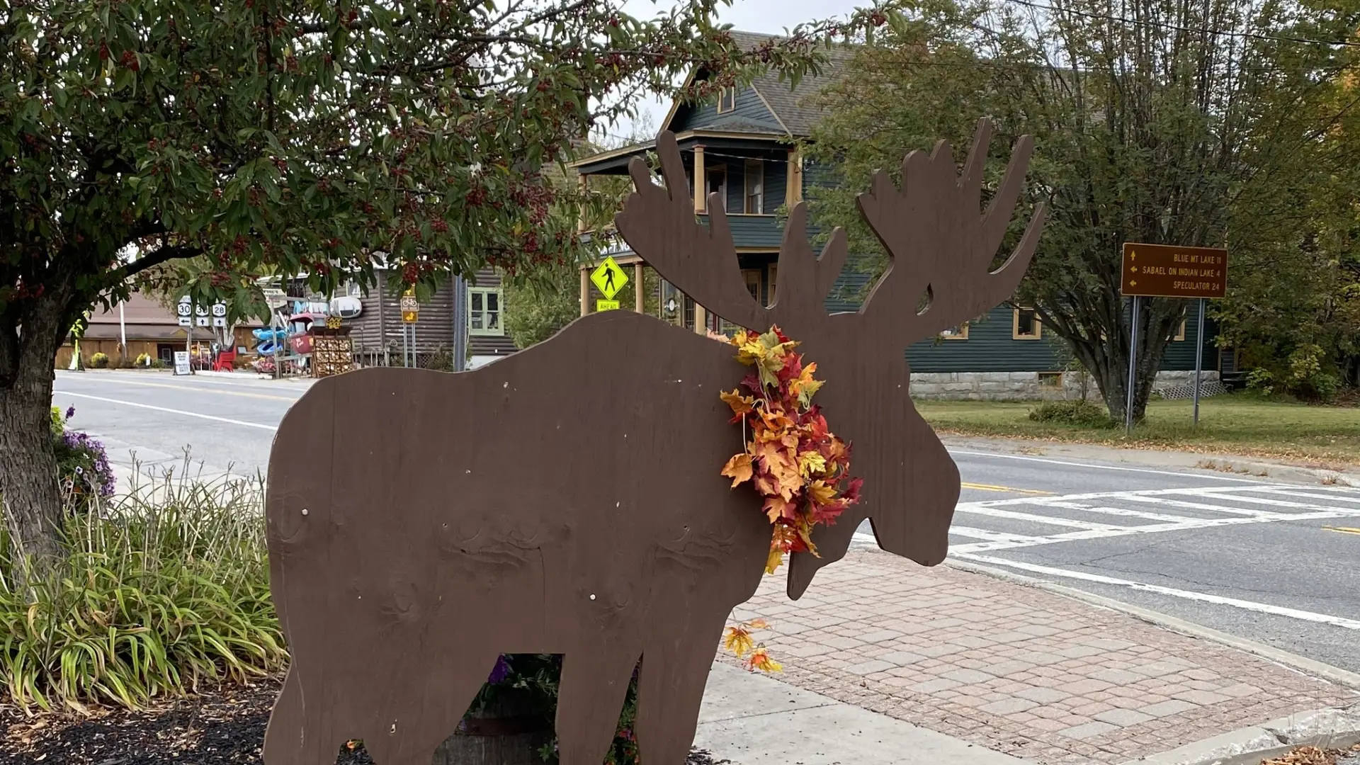 Moose cut out by road side.