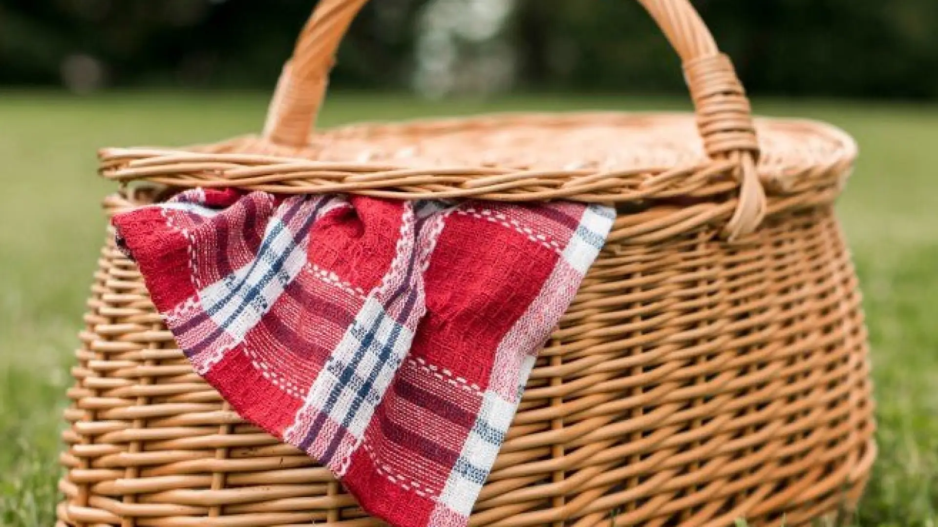 picnic basket