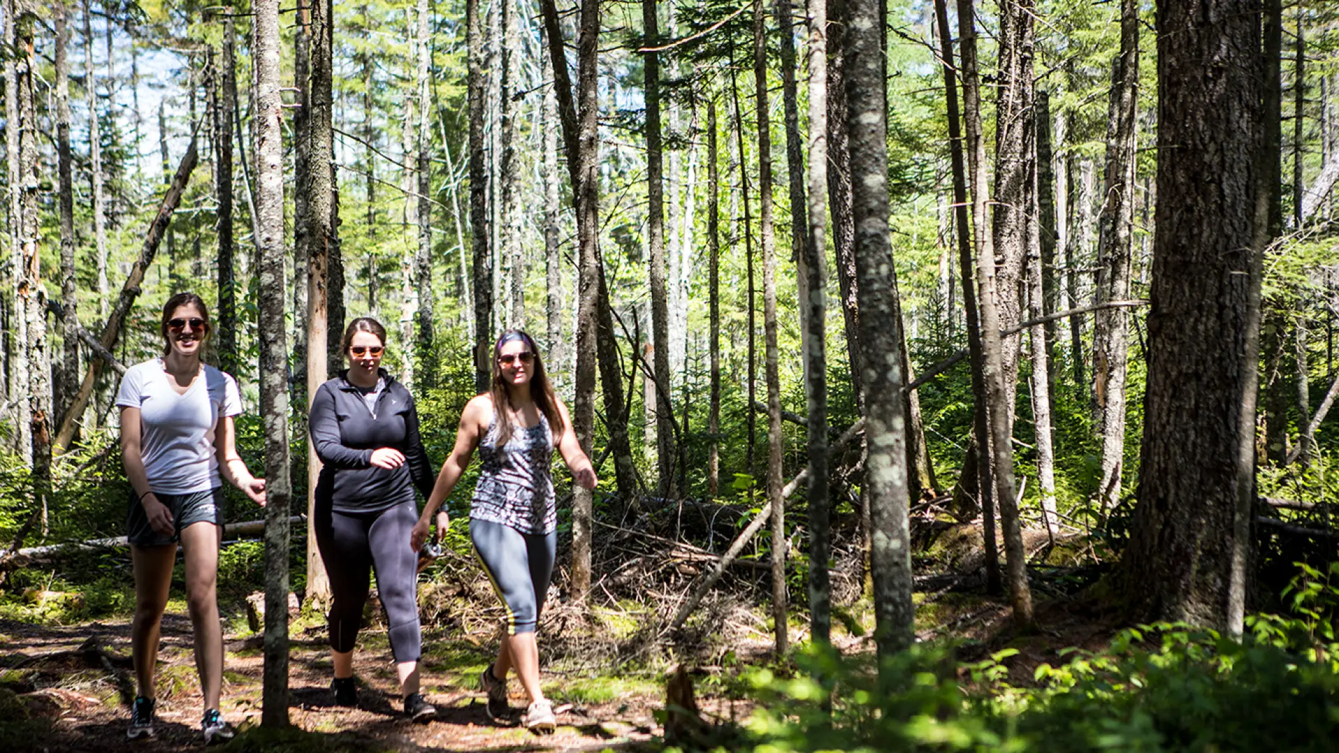 A great place to enjoy with friends and family.