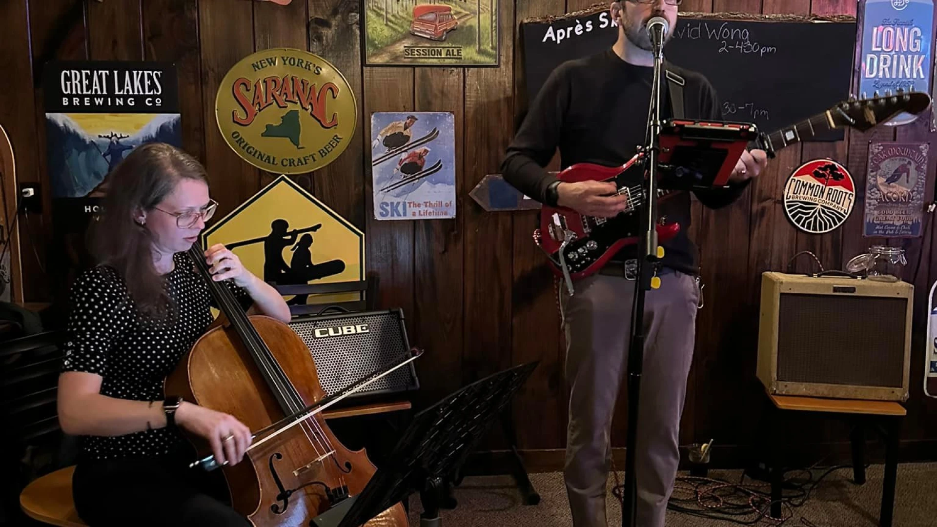 Two stringed musicians performing at Oak Mt
