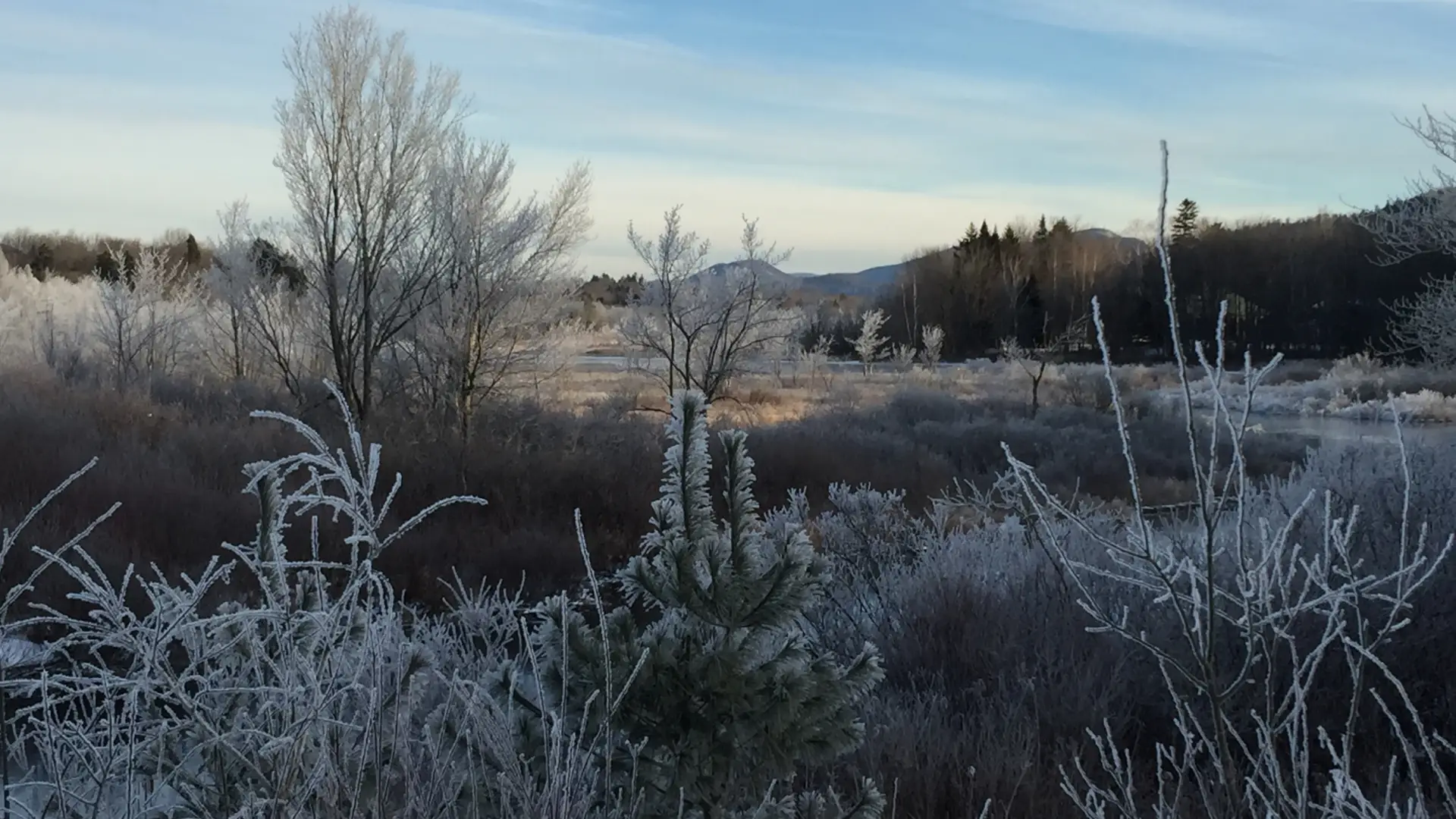 Beatiful winter scenery on the way to Round Pond.