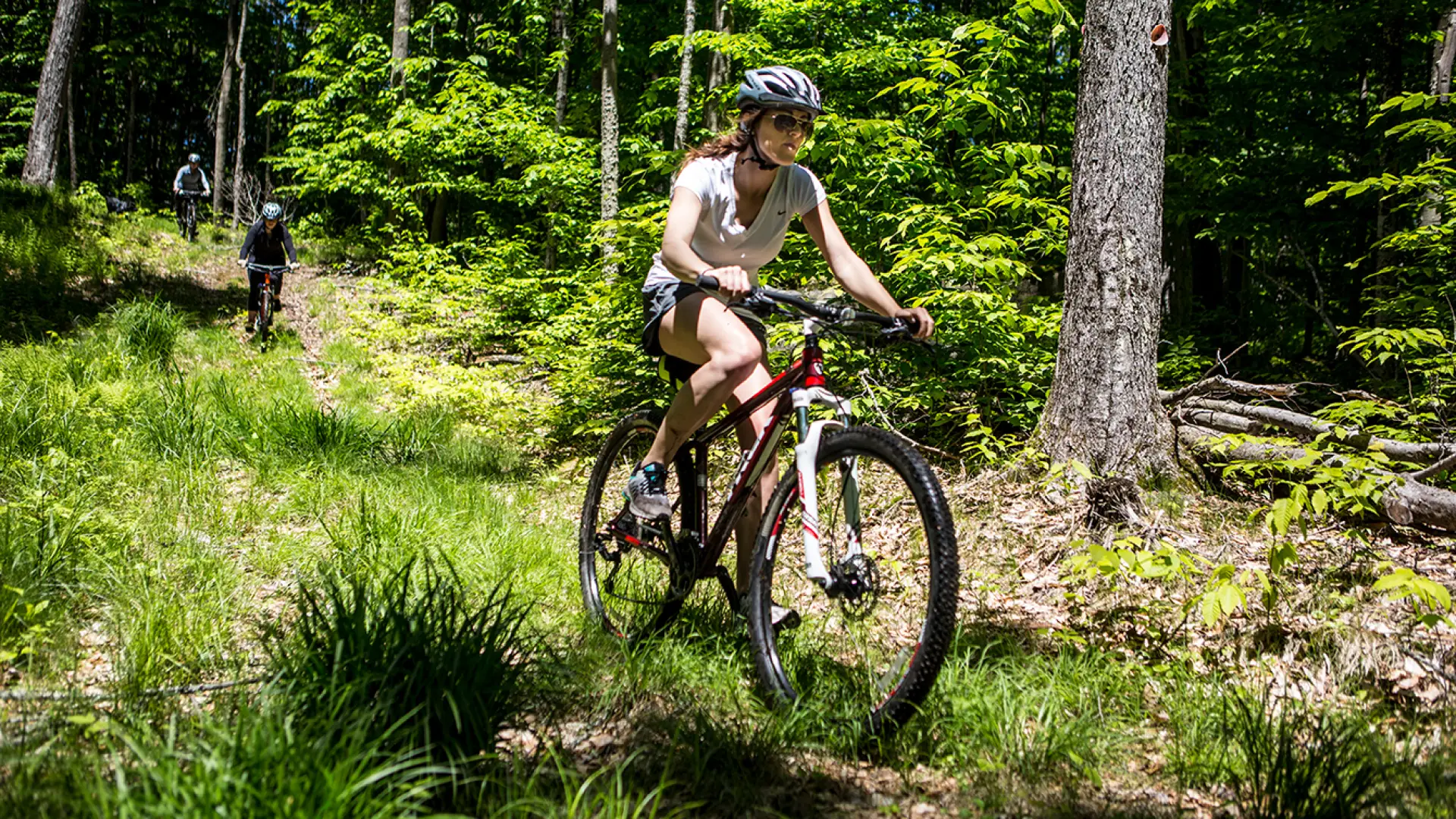 Fern Park is a popular spot for mountain biking.