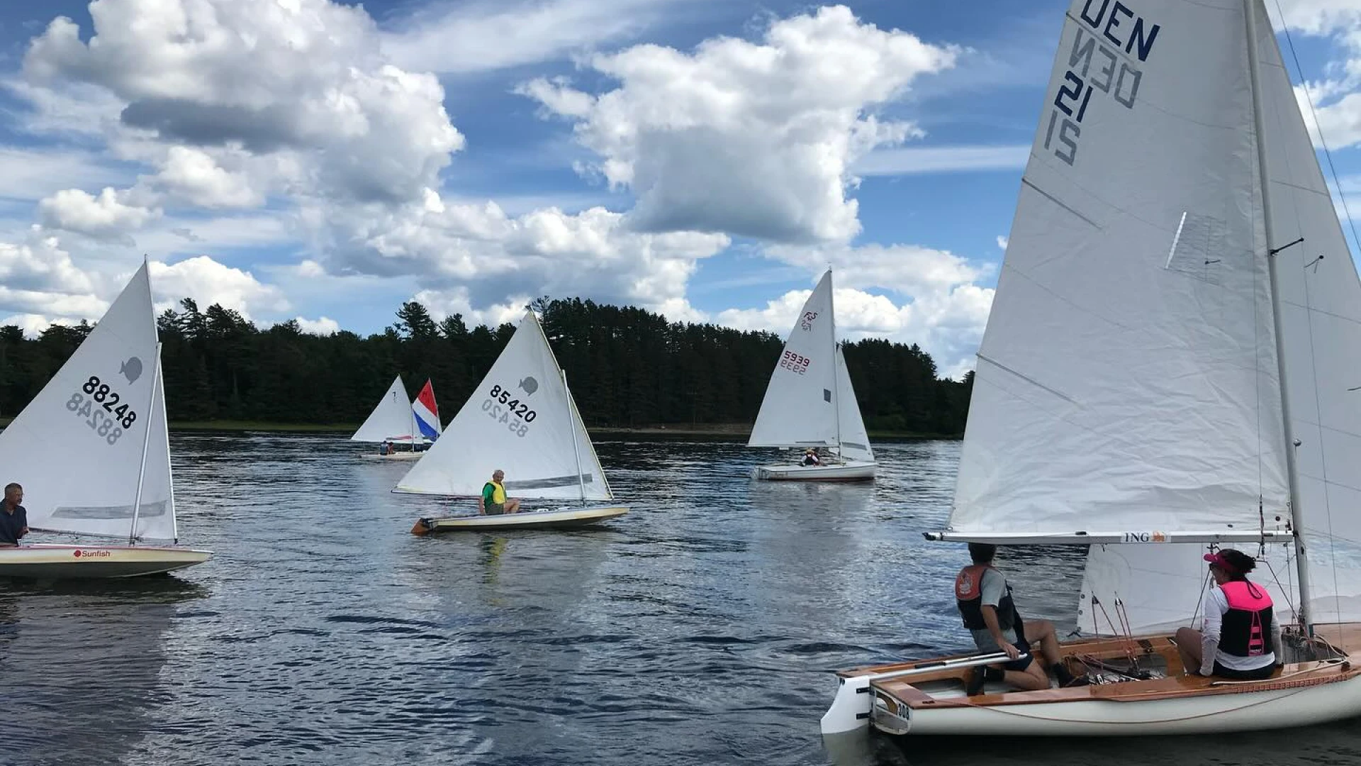 5 small sail boats