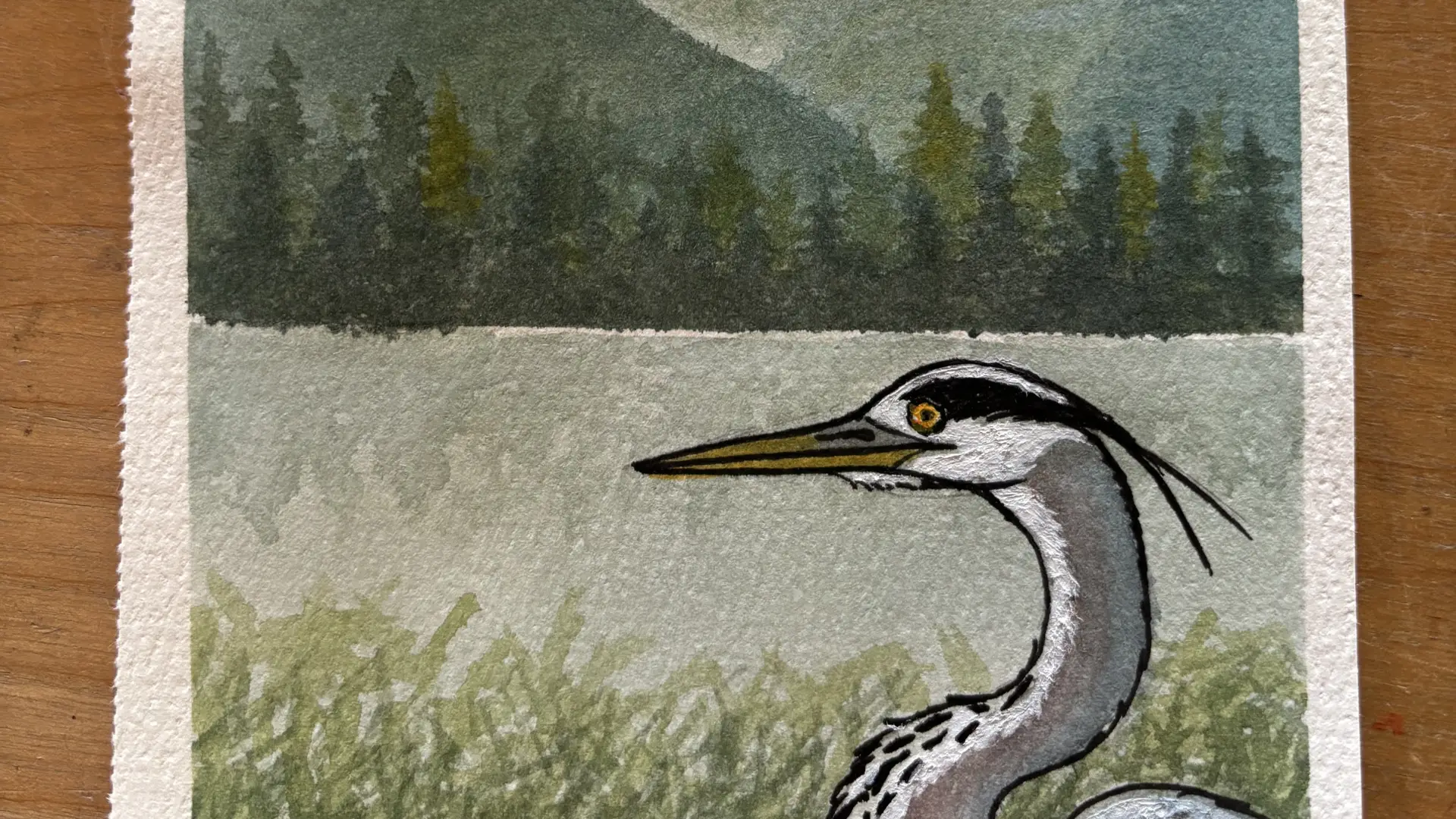watercolor painting by Sheri Amsel