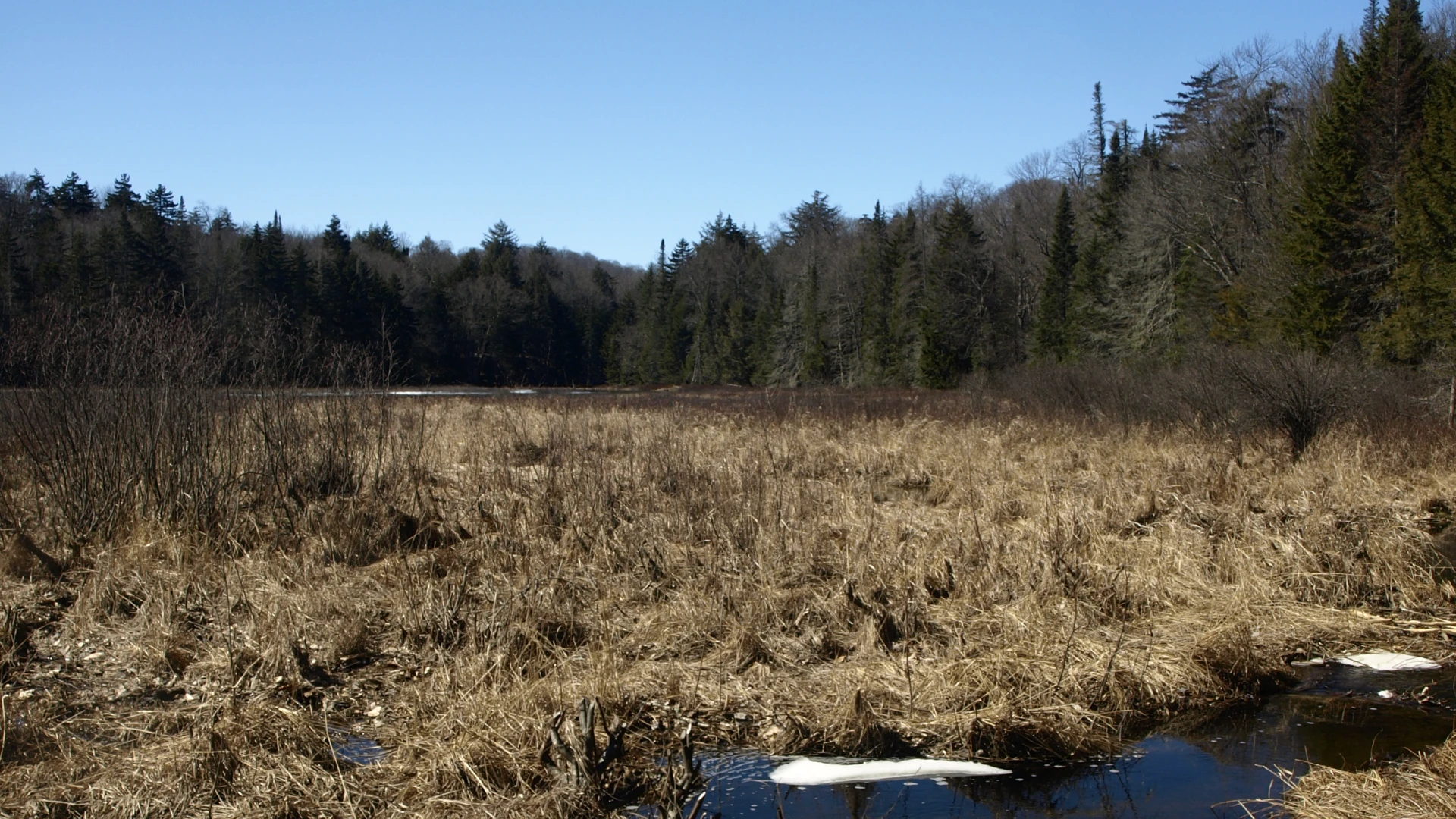 A great introduction to the famous Northville-Placid Trail.