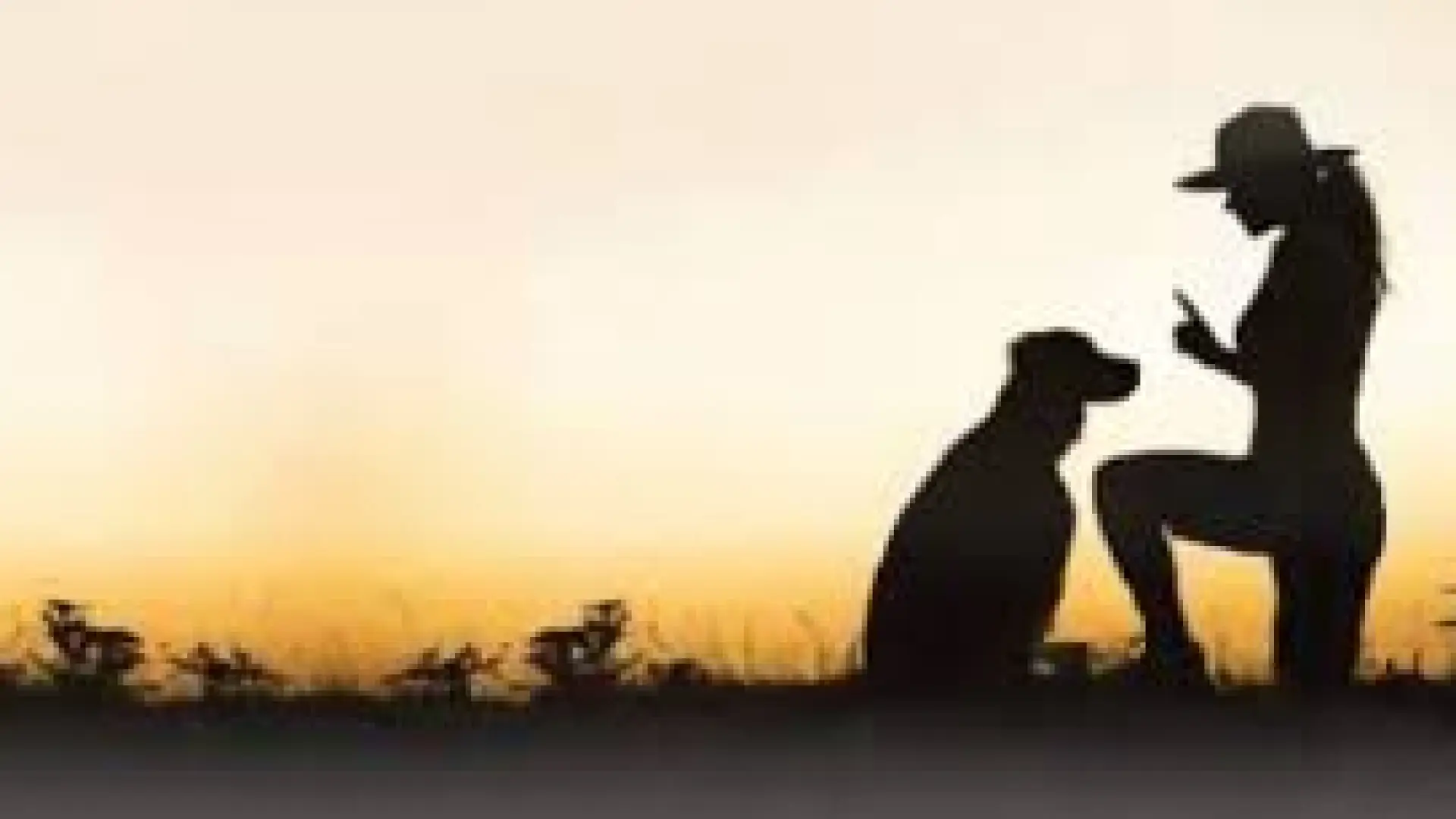 dog & lady with a sunset logo