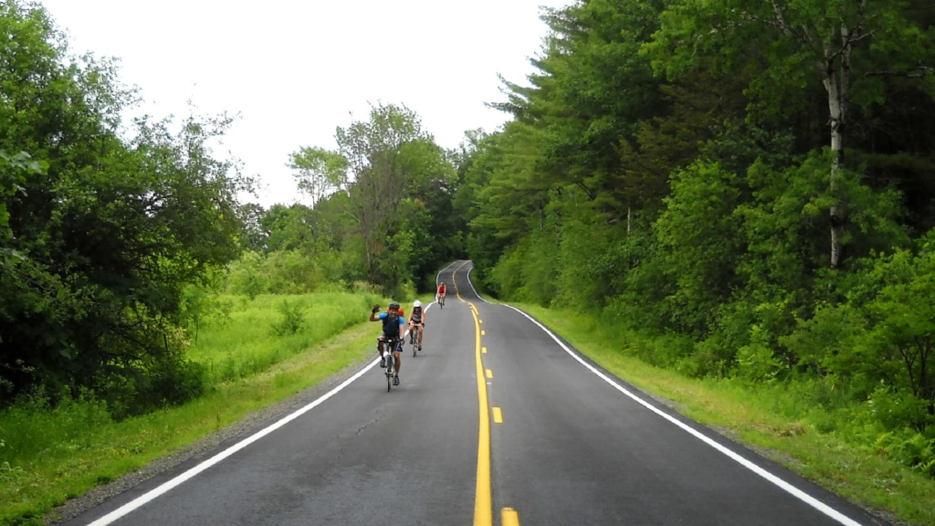 Cycling on a nicely paved road amongst green trees