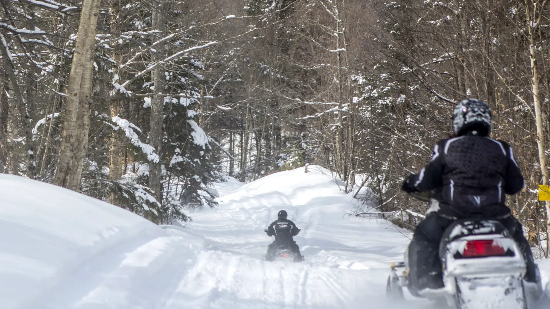 Enjoy deep forest trails near Piseco Lake.