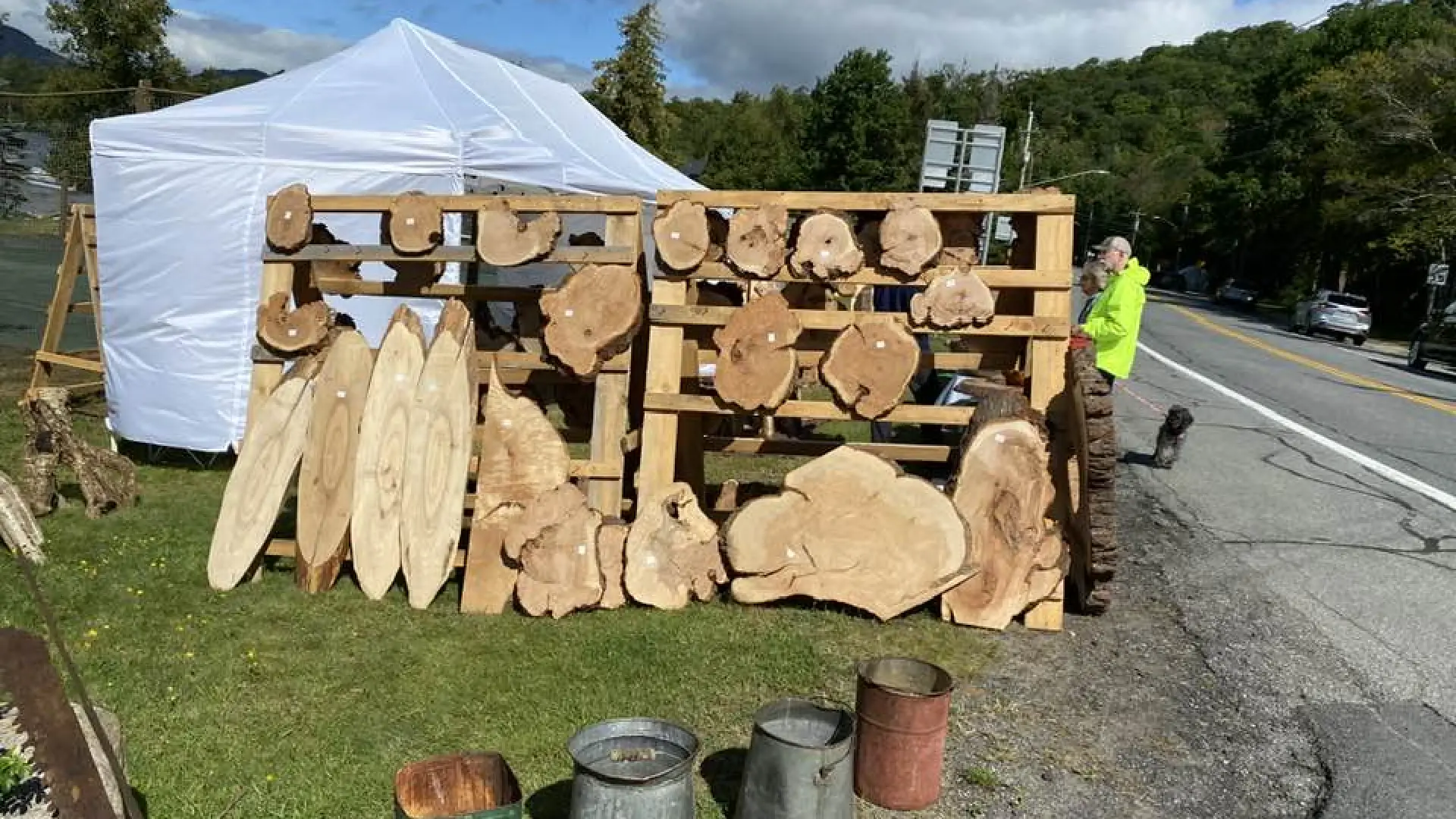 Wood slabs displayed for sale