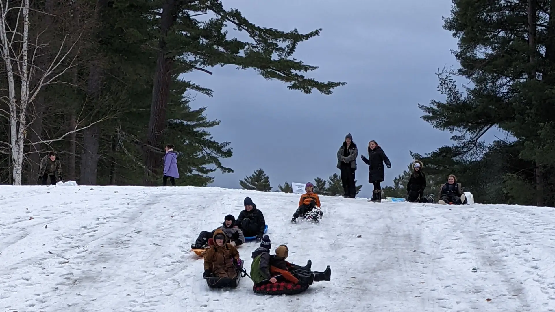 sledding
