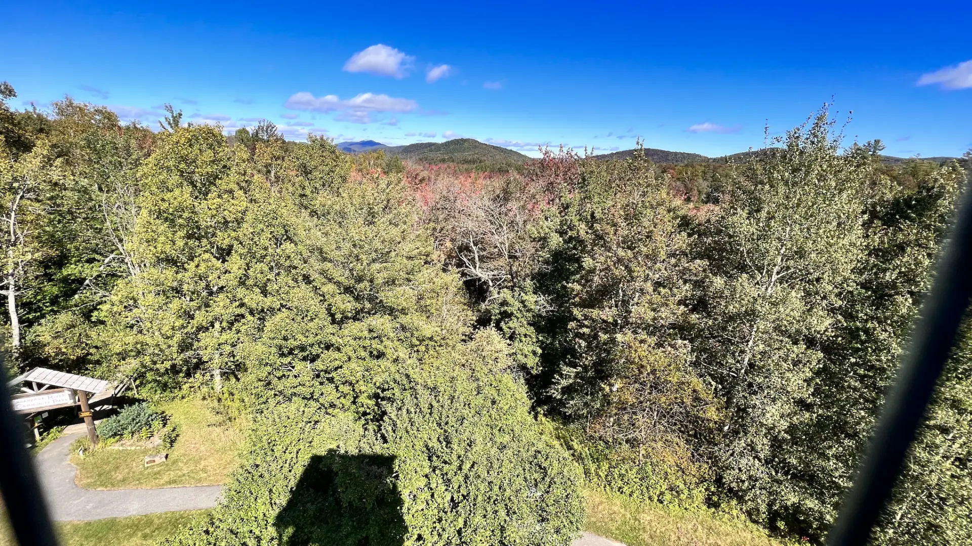 Autumn is an excellent time to see the leaves up close from the fire tower cab!