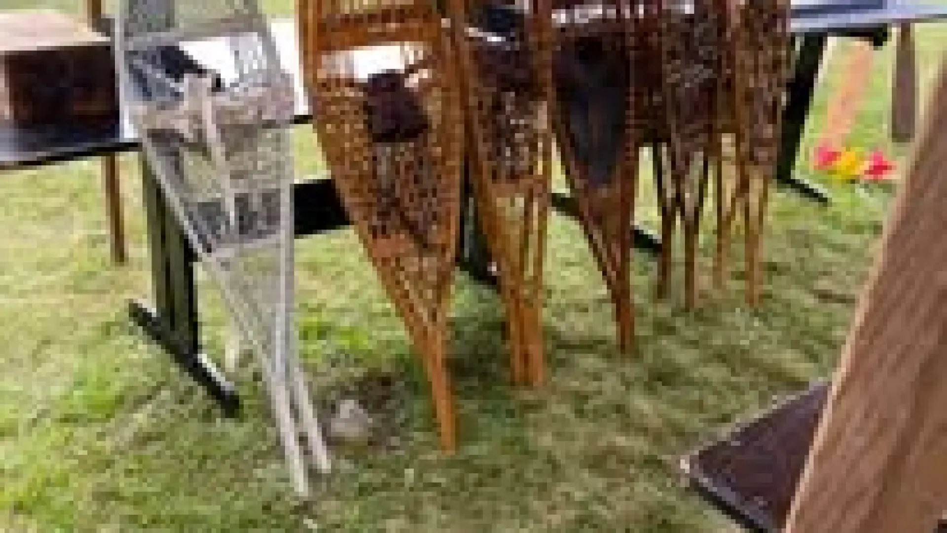 antique snowshoes displayed for sale
