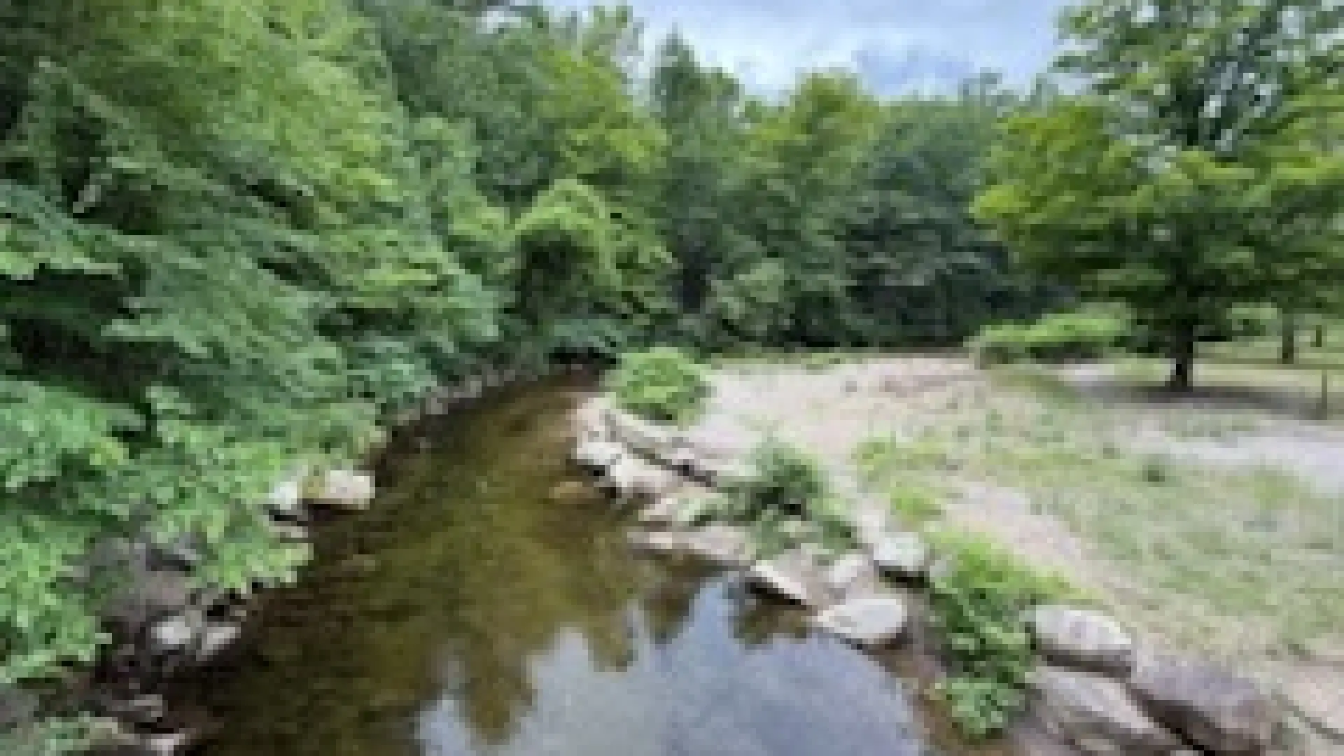 view of the river from the footbridge above the park