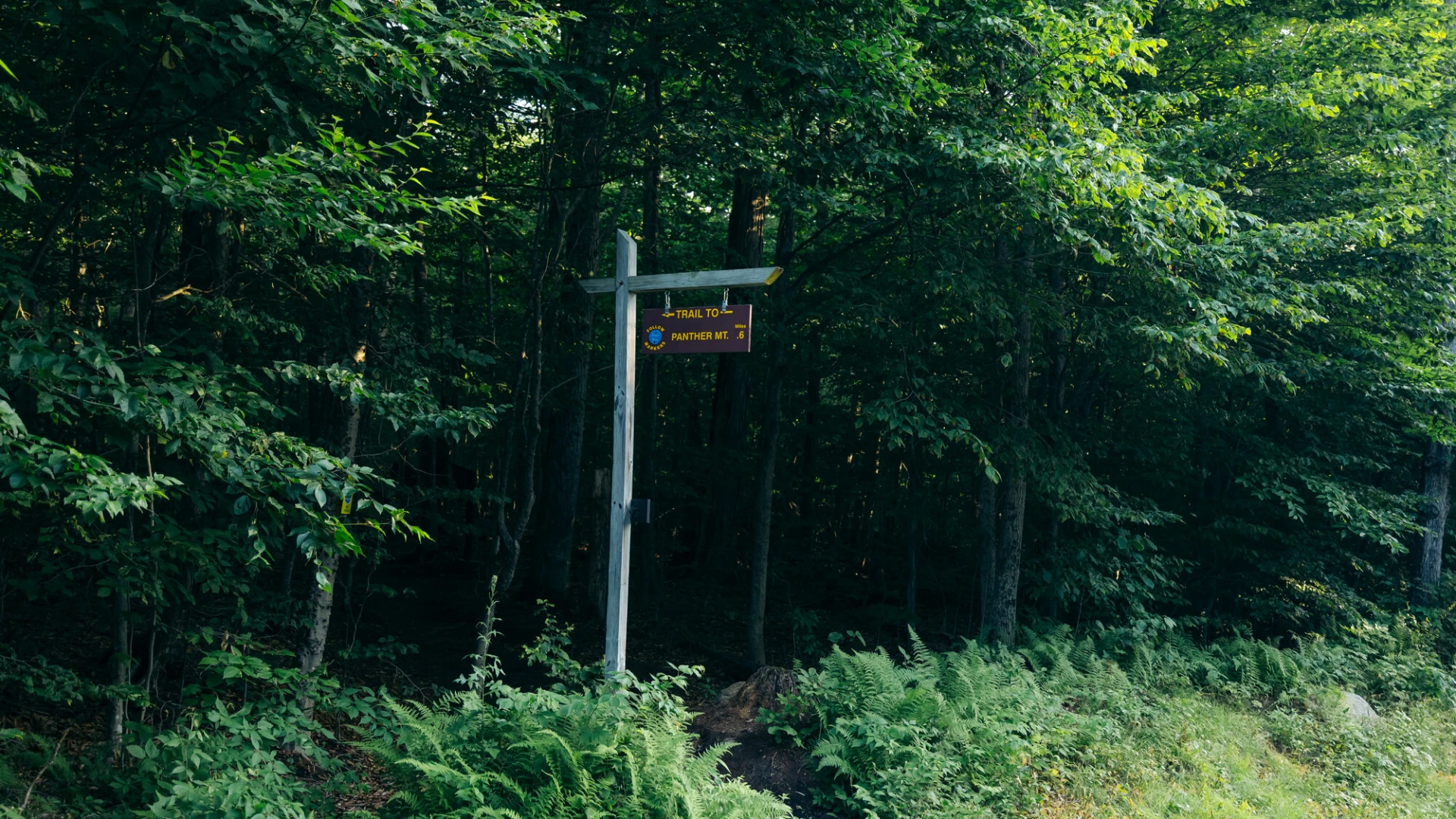Sign for Panther Mountain
