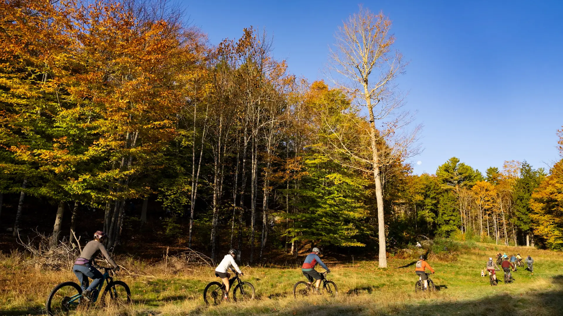 trail view