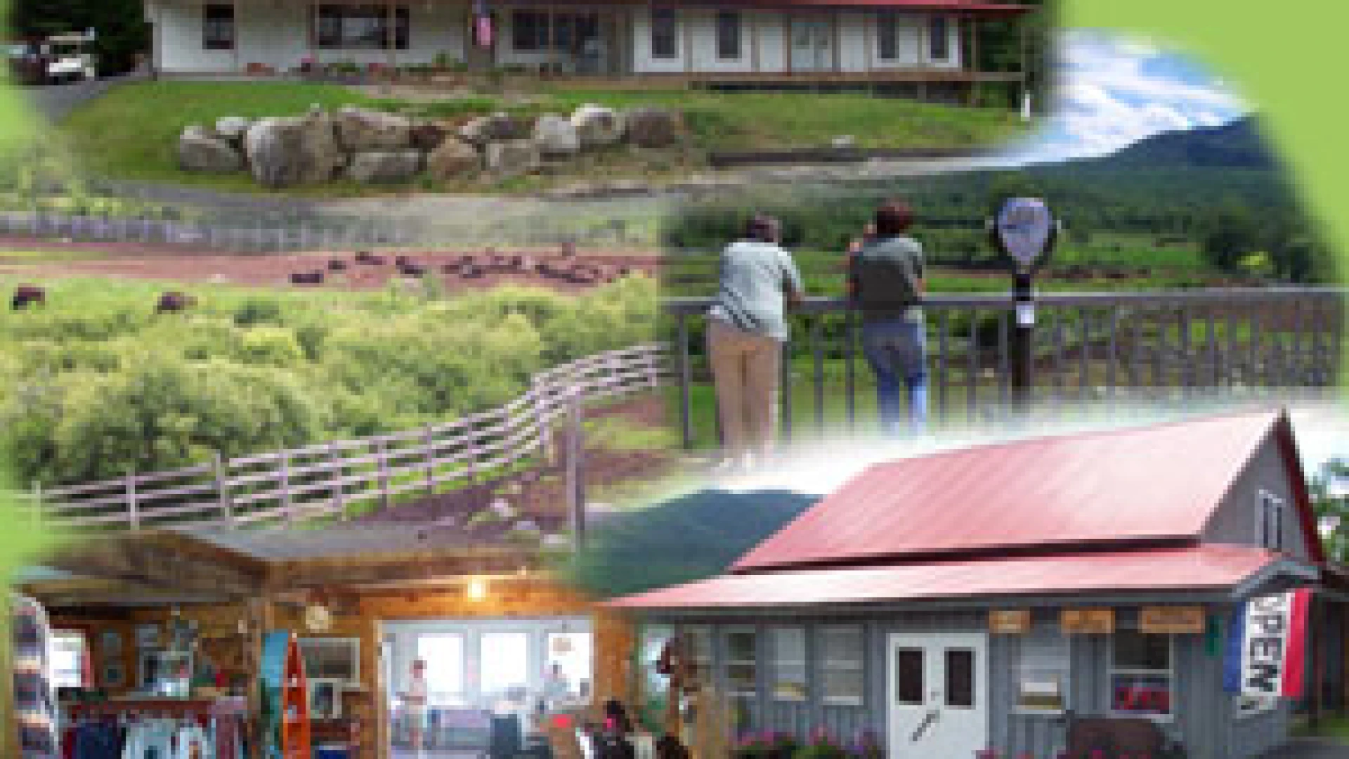 A collage of the exterior and interior of the shop