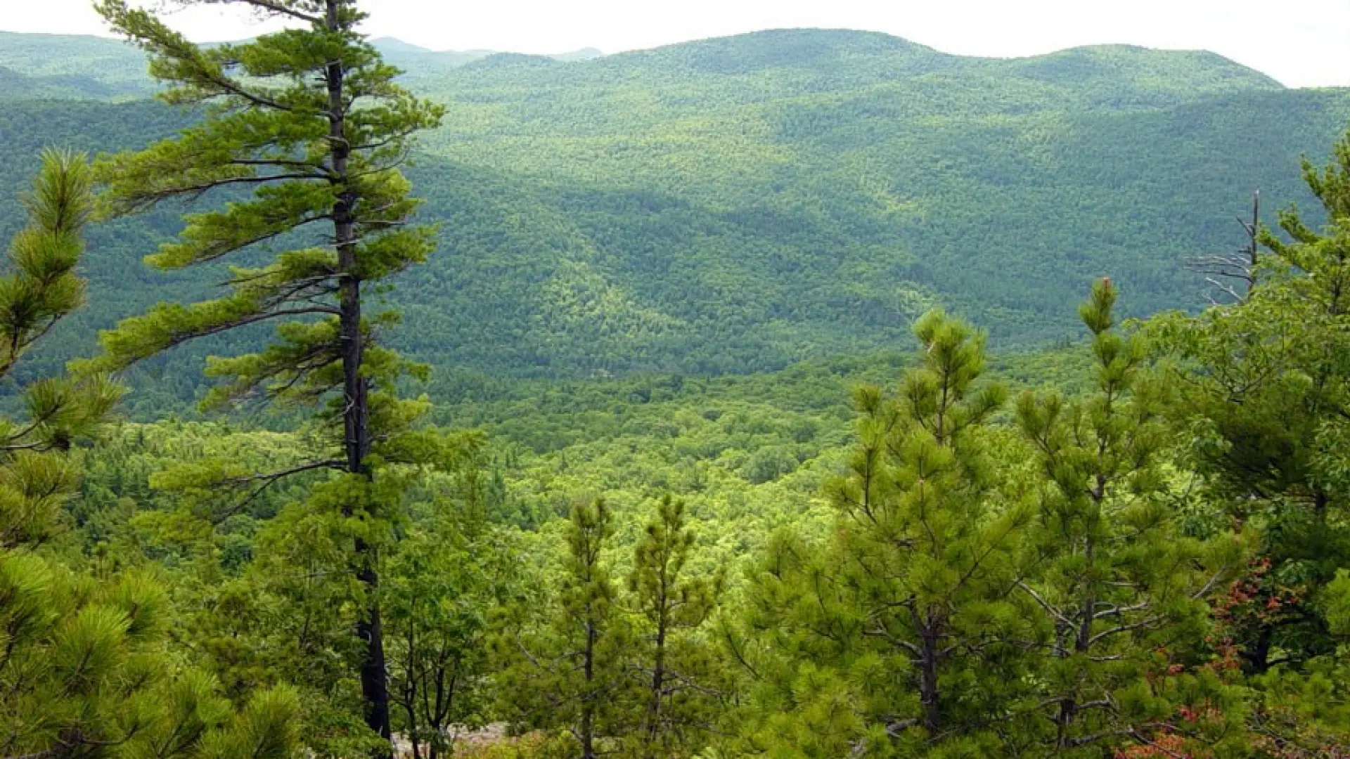 Wonderful views on a hike most of the family can enjoy.