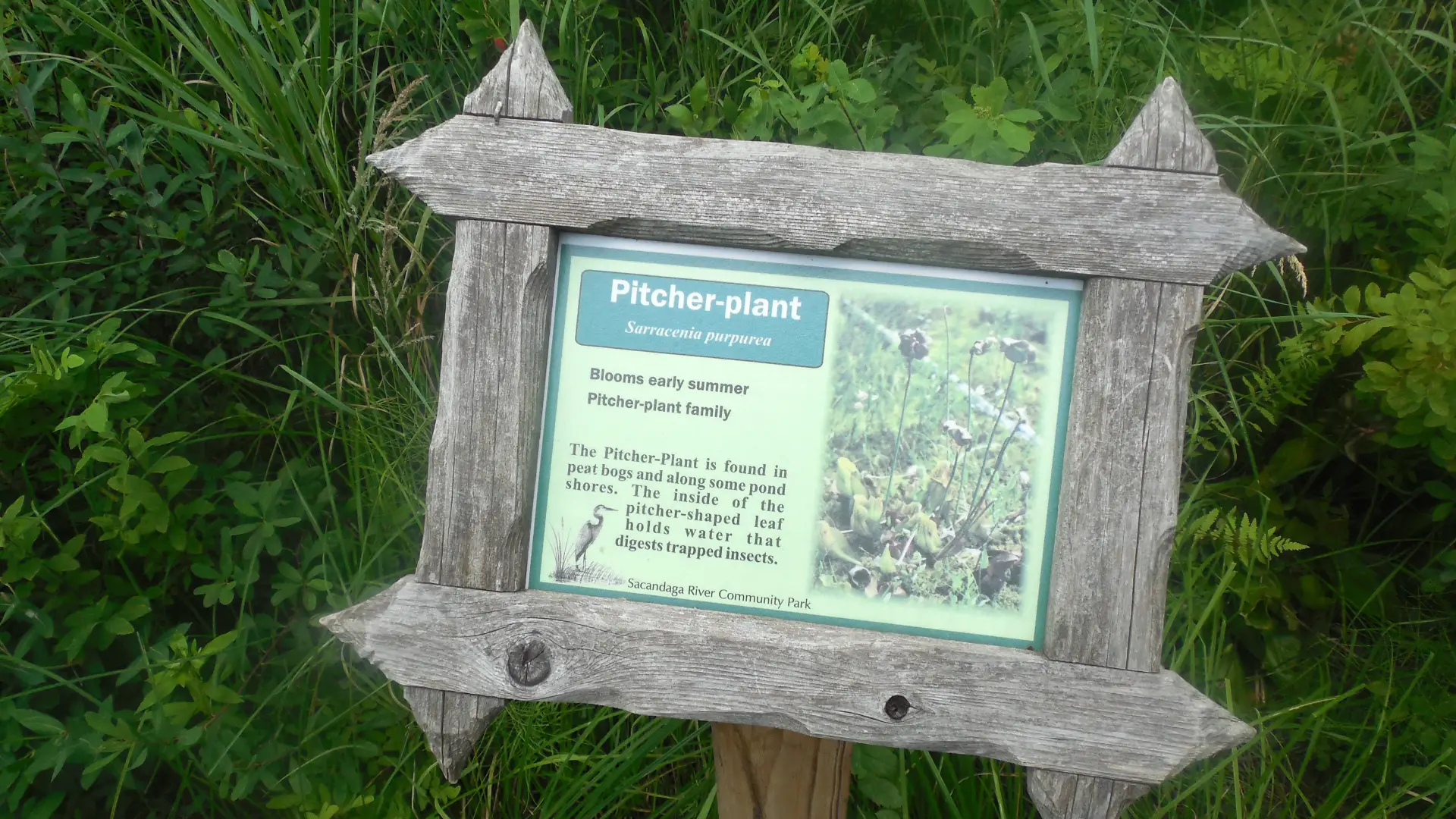 Informational signs help everyone learn more.
