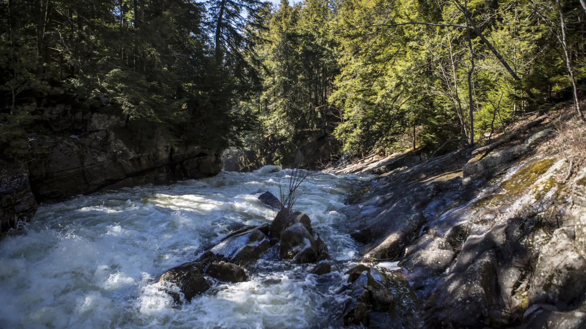 Boulders along the rapids near Griffin Falls