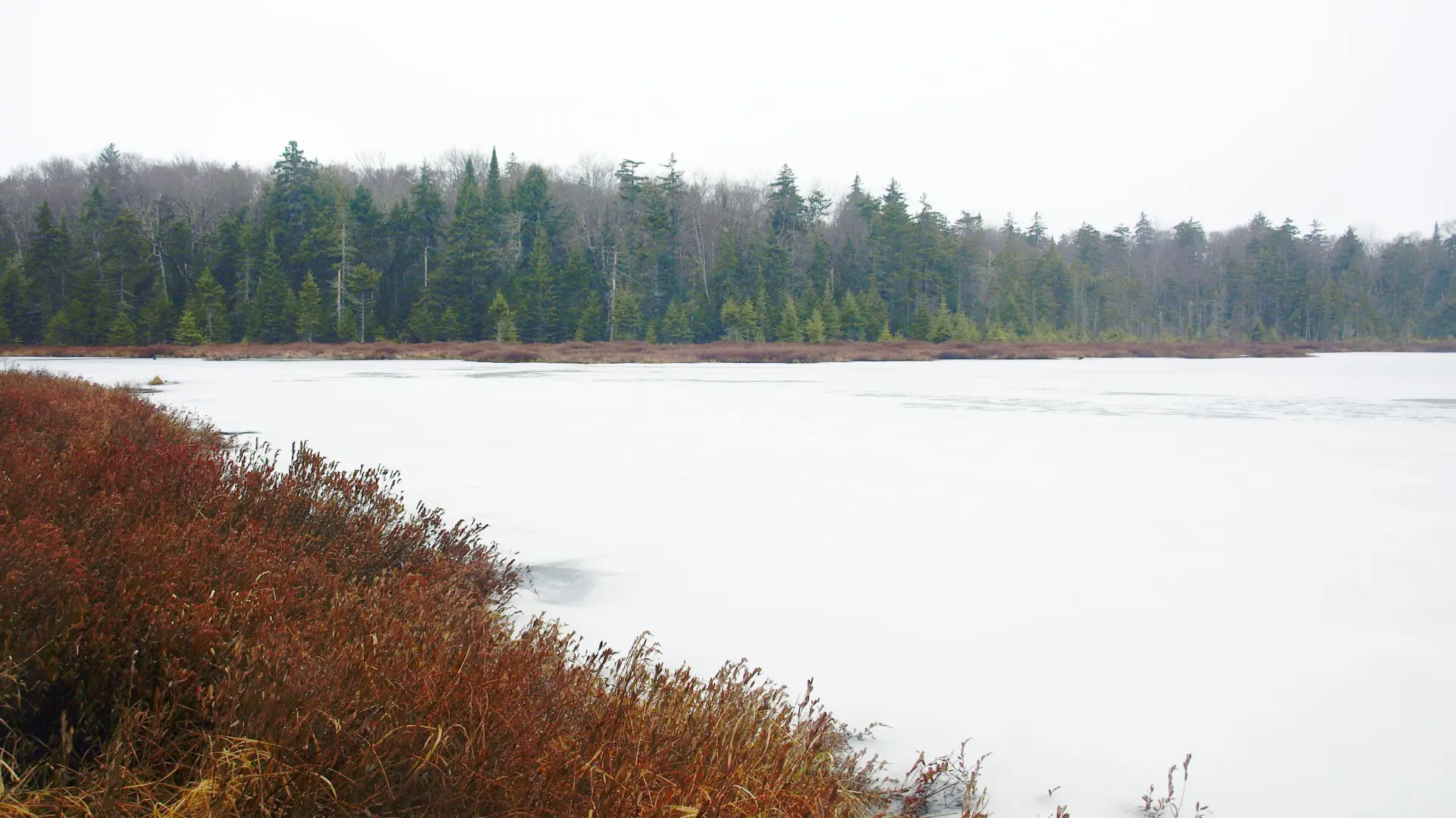 Oswego Pond is gorgeous in late fall.