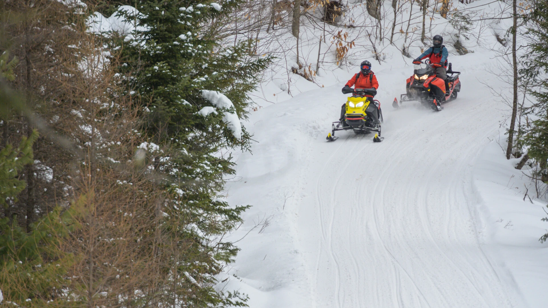 Two people ride snowmobiles on a snowy forest trail, surrounded by evergreen trees.