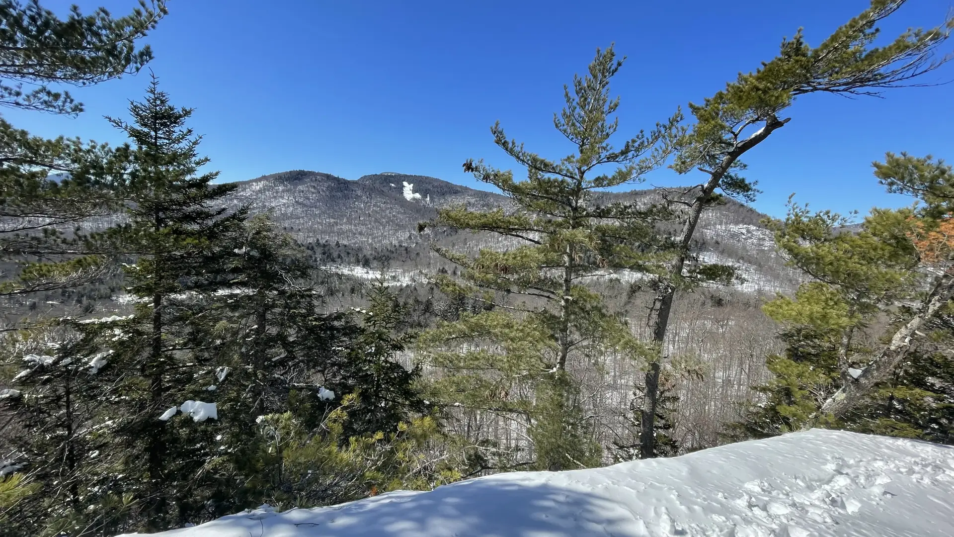 A winter view from Watch Hill of mountains and trees