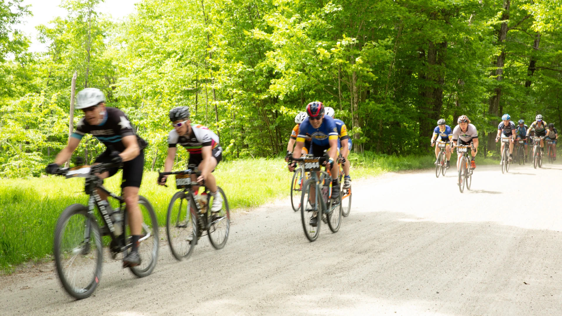 Cyclists race on a sunlit gravel road surrounded by lush green trees. The lead riders appear focused and determined, conveying a sense of competition.