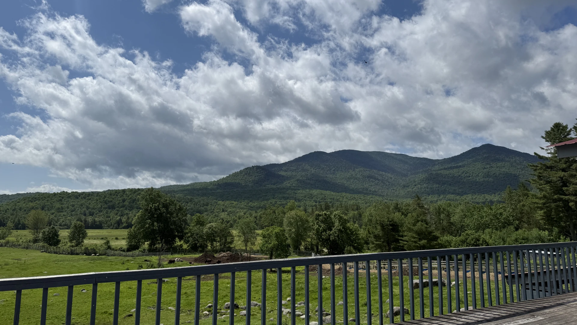 A view of the mountains and puffy clouds that surround the buffalo pastures