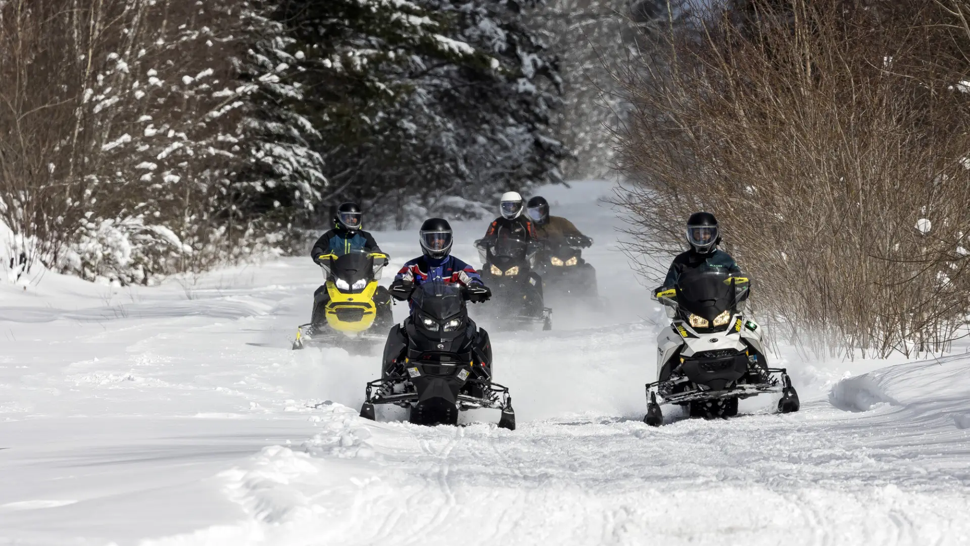 Four snomobiles riding on a trail