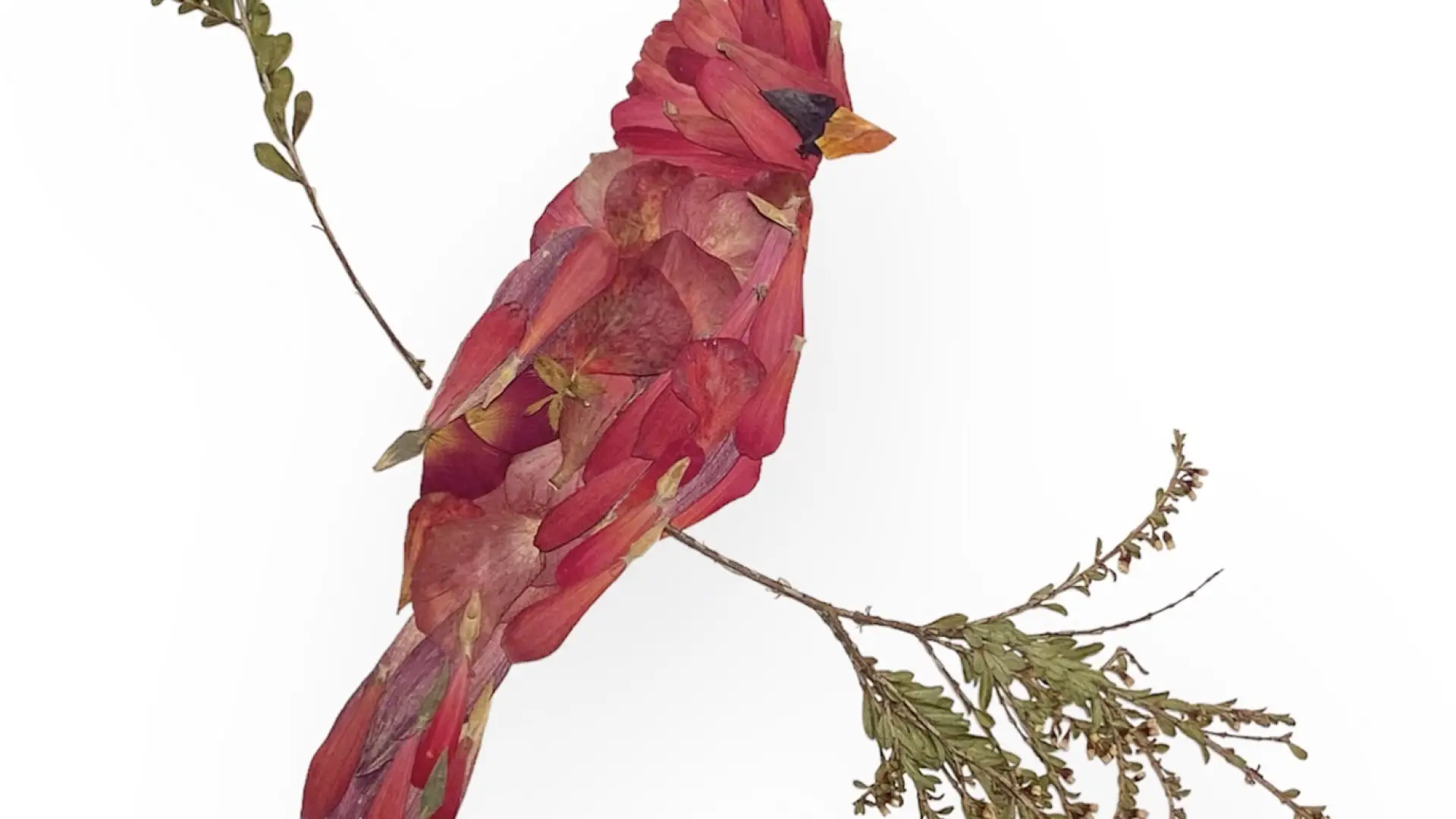 Cardinal made out of pressed flowers