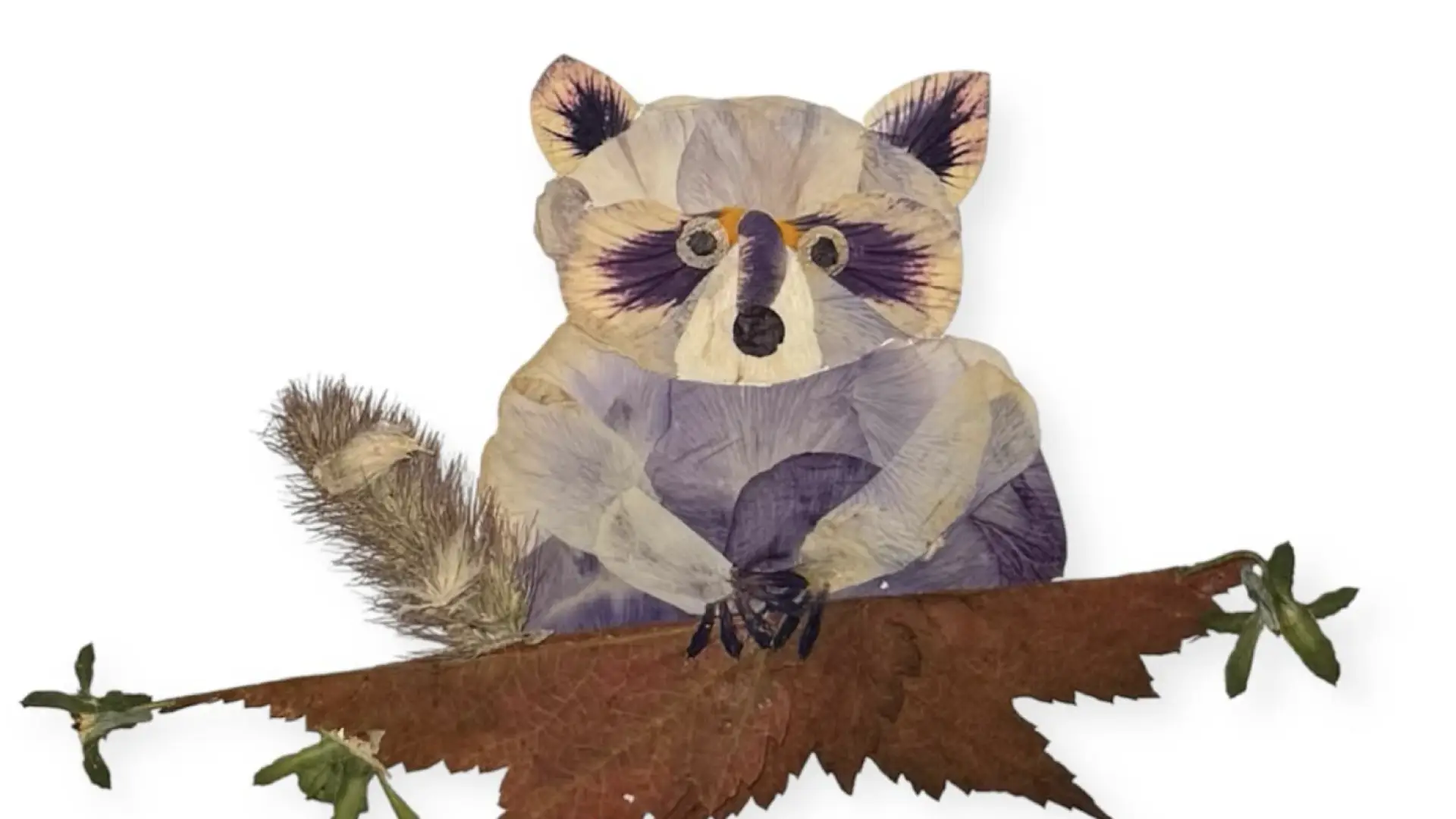 racoon made out of pressed flowers