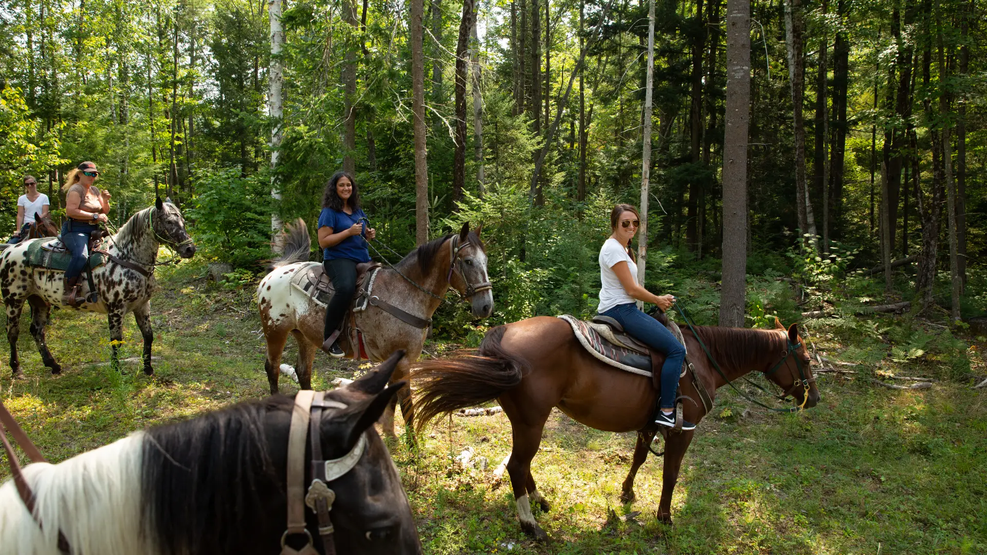 Horses allowed on this Adirondack trail.