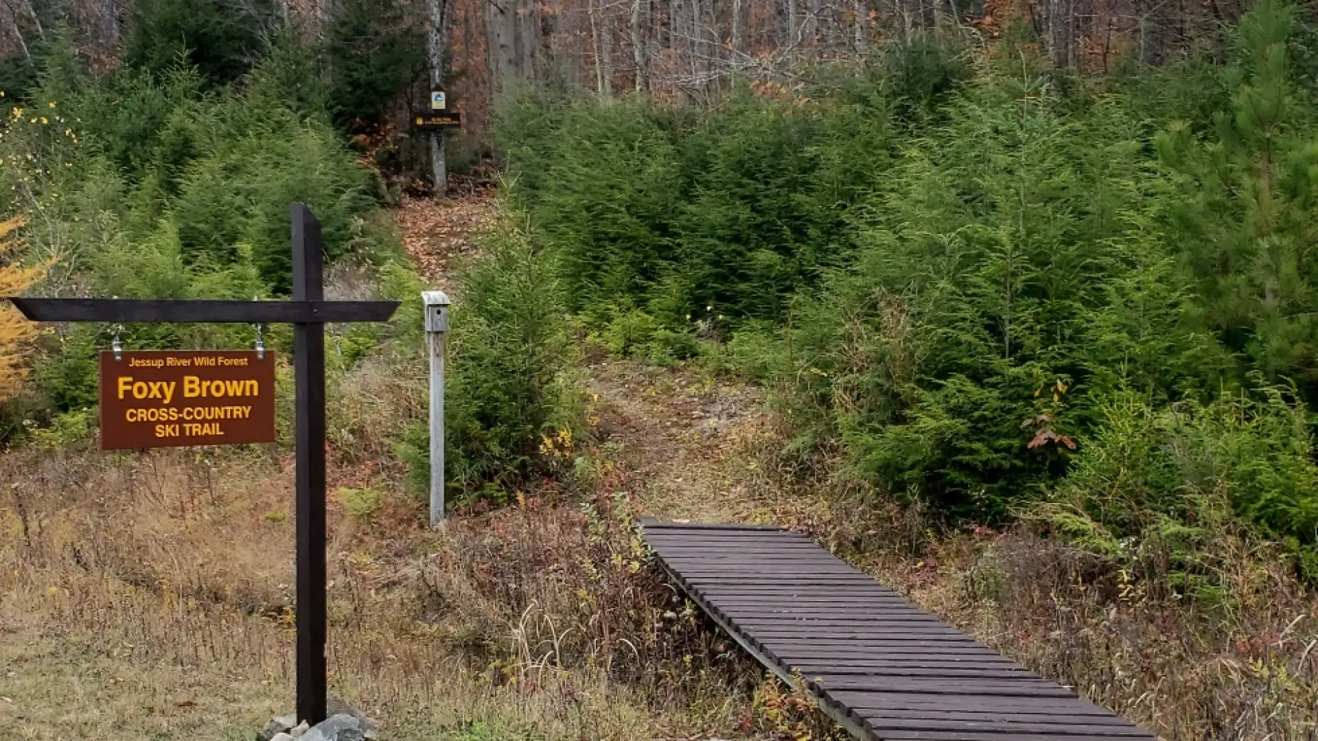 A wooden sign for the Foxey Brown ski trail