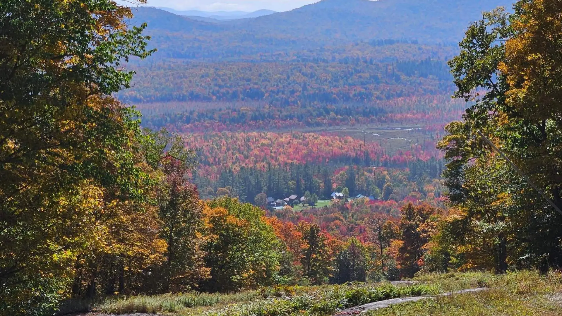 The view of colorful fall trees from the top of Oak Mountain