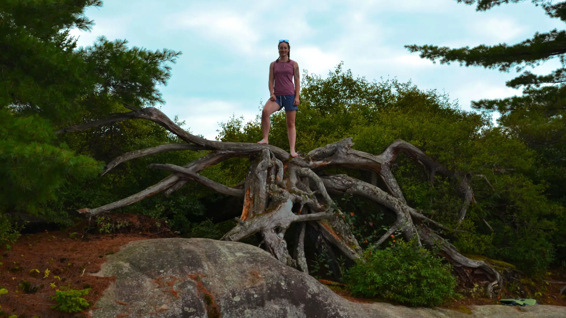 Plenty of interesting hiking features on the many trails.