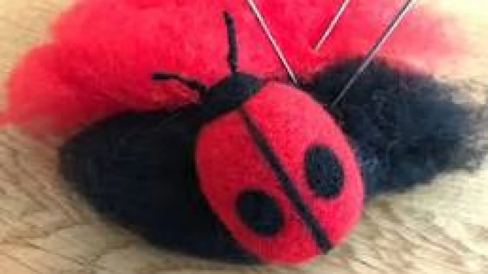 Lady Bug