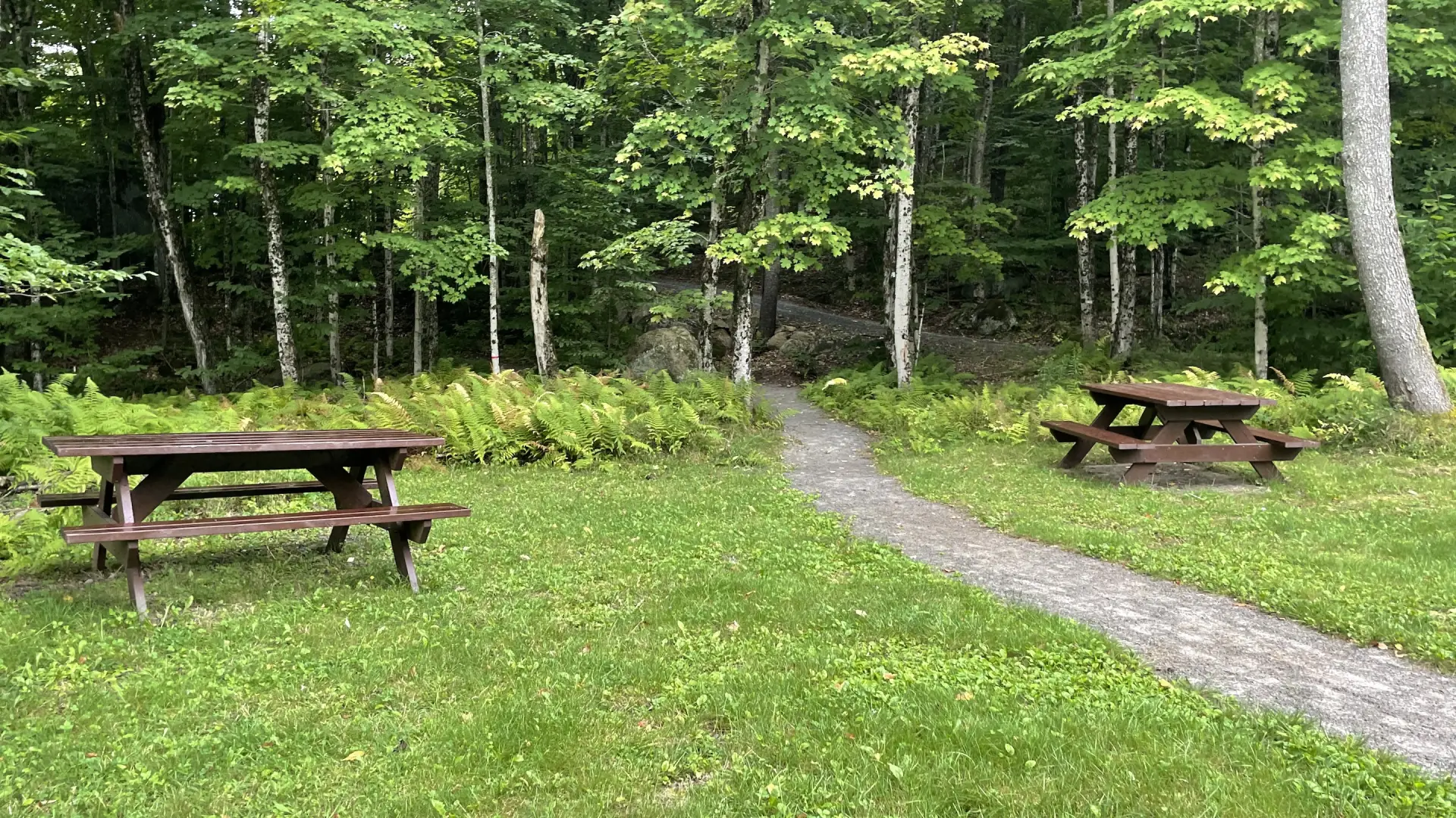 picnic tables in Fern Park