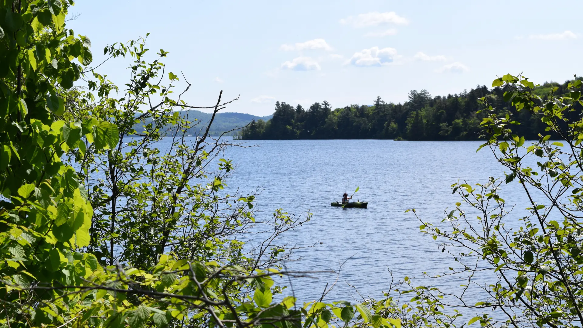 Spacious wooded sites and a concrete boat launch.