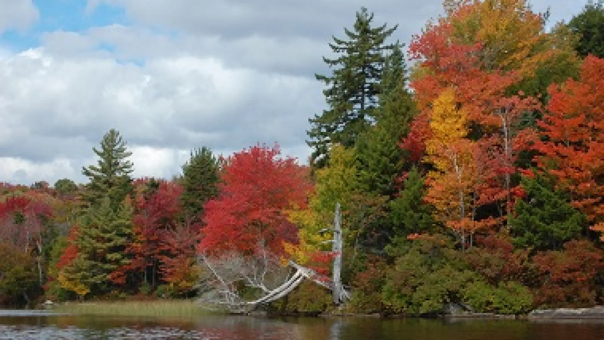 Limekiln Lake is a local favorite for seeing foliage.