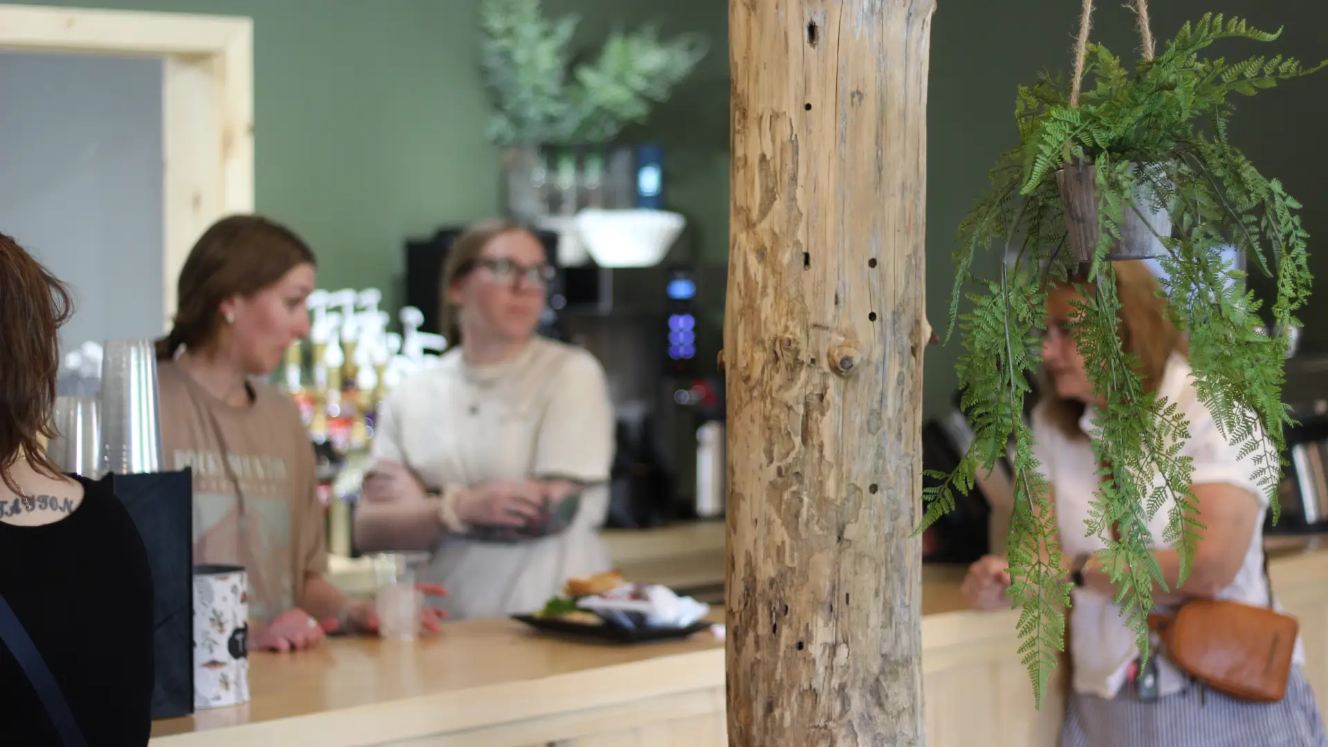 Rustic beams supports with hanging plants and a view of people conversing at the front counter.