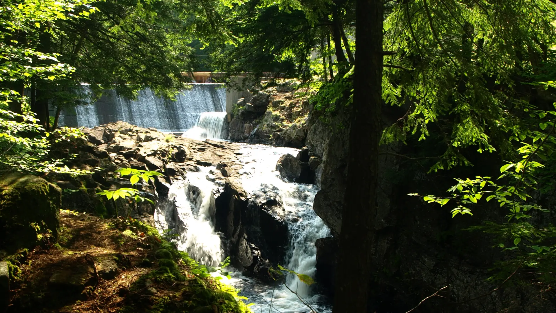 Christine Falls in spring.