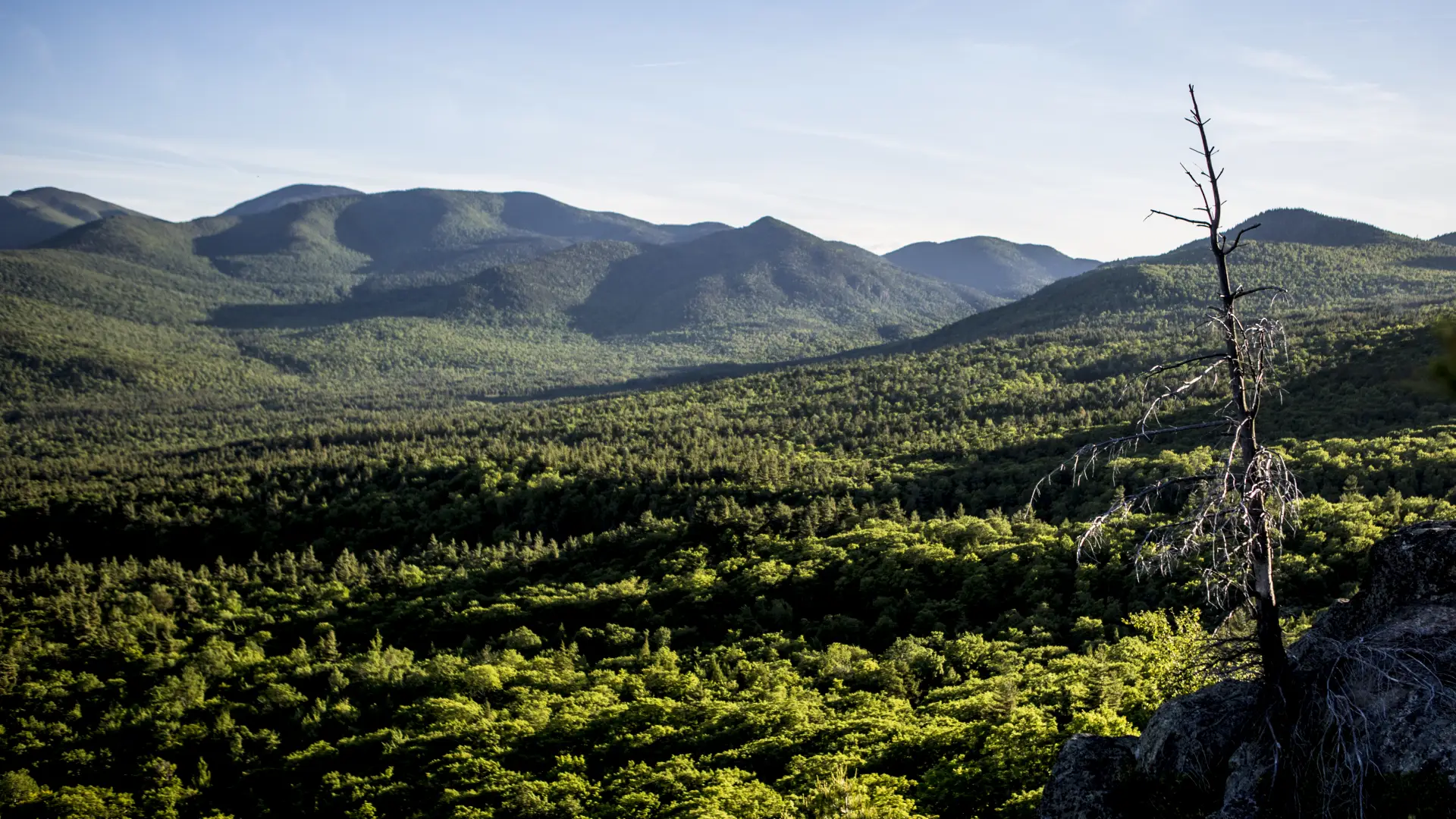 Wonderful views of the Giant Mountain Wilderness.