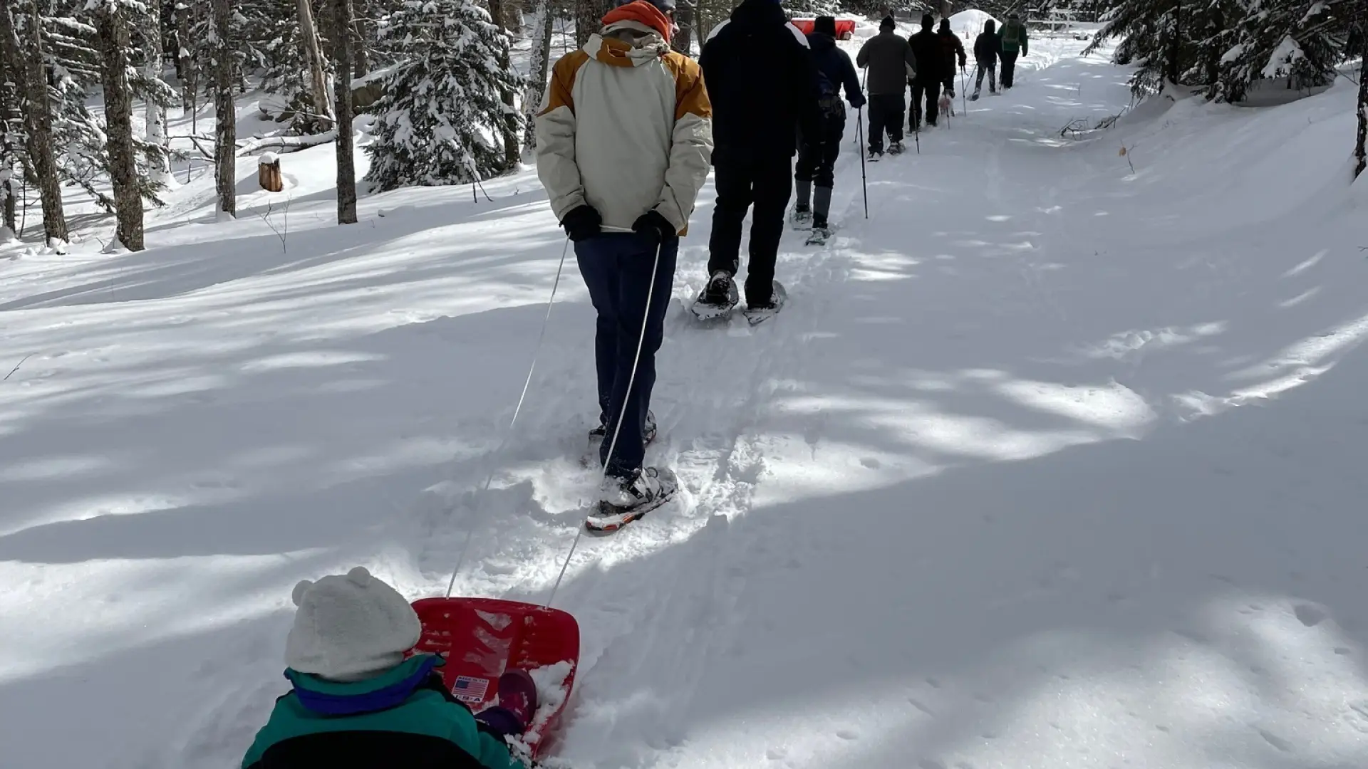 a line of people on a guided tour with a lady pulling her child in a sled