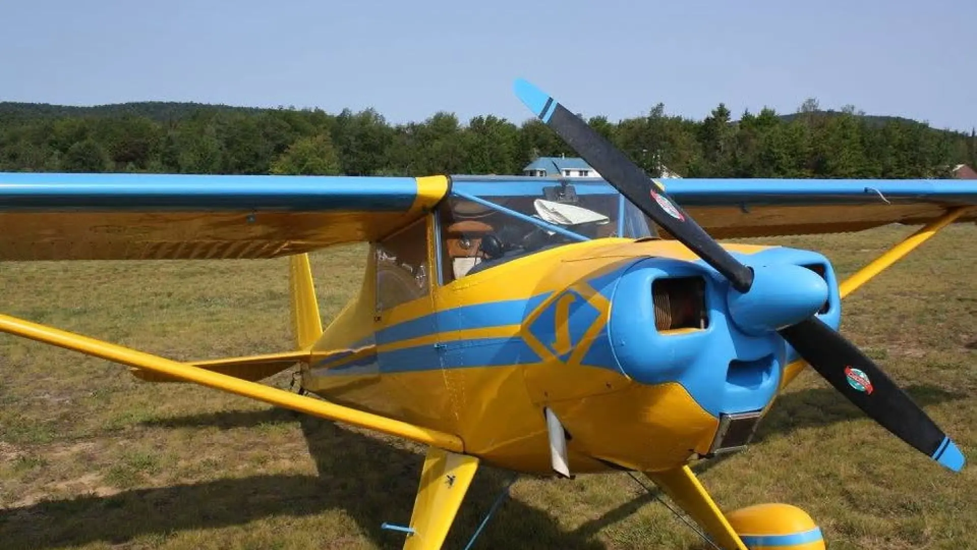 Yellow and blue single-engine airplane on a grassy field.