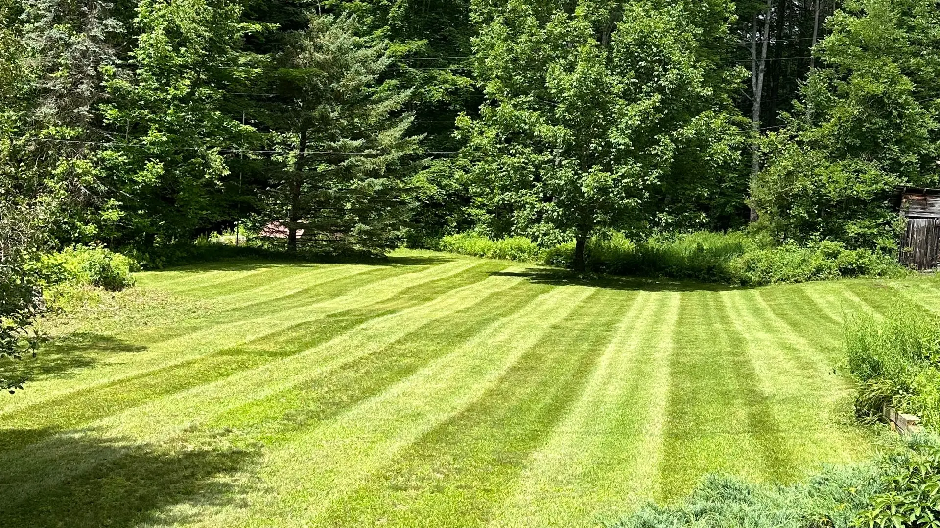 mowed lawn