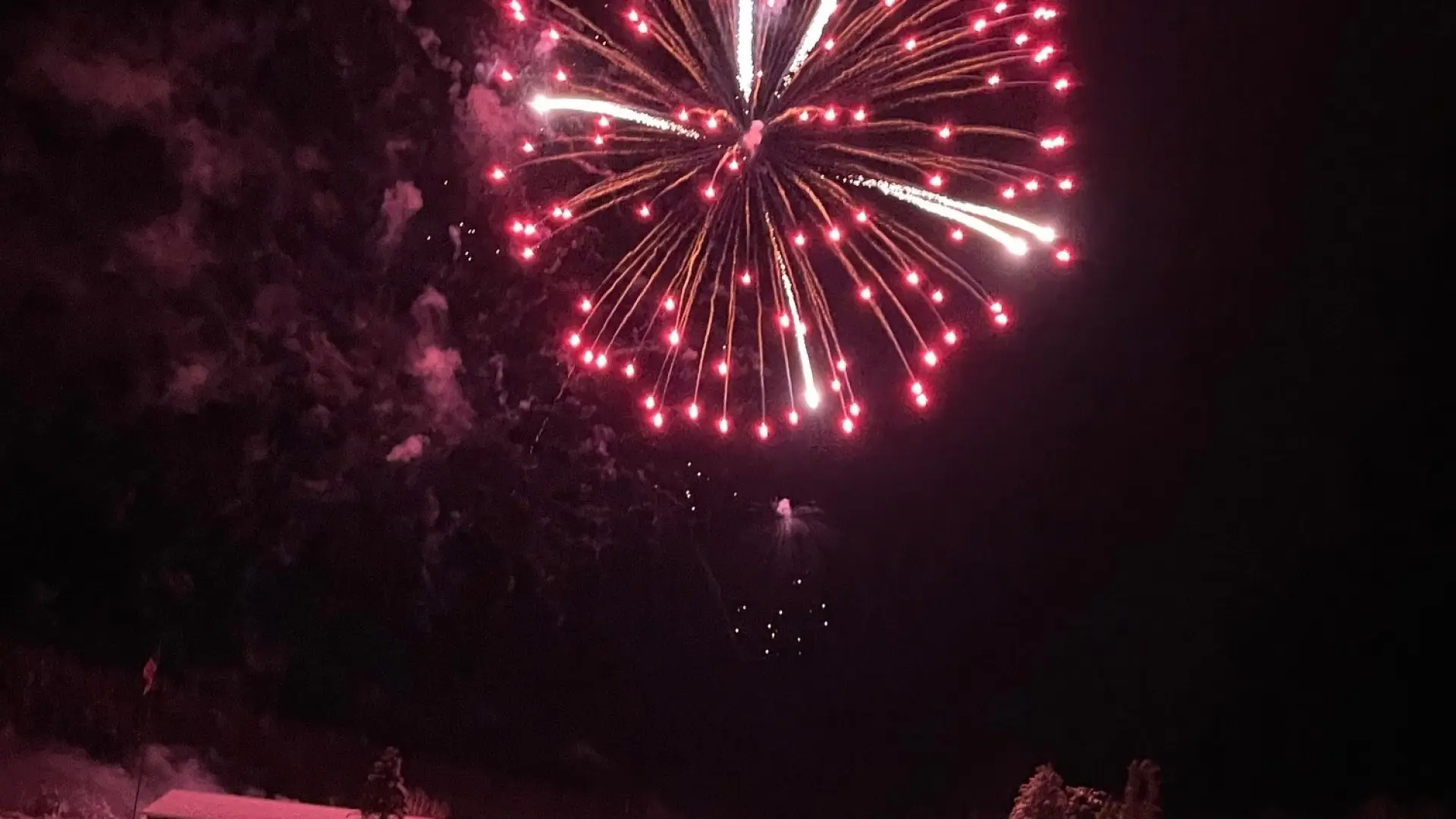 a bright pink firework bursting in the sky